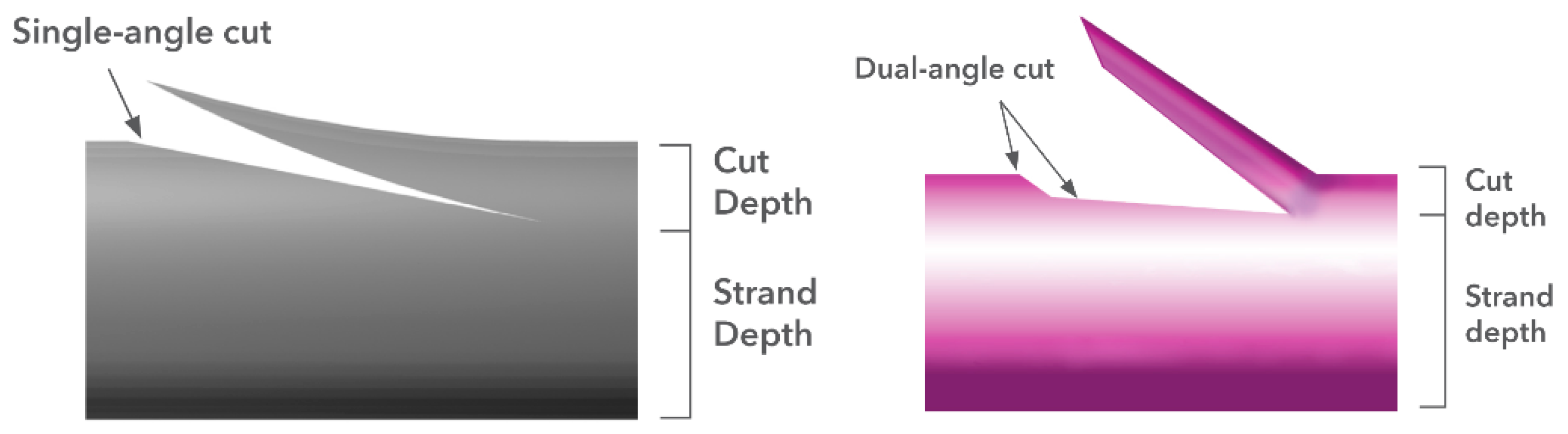 Bioengineering 10 00419 g012