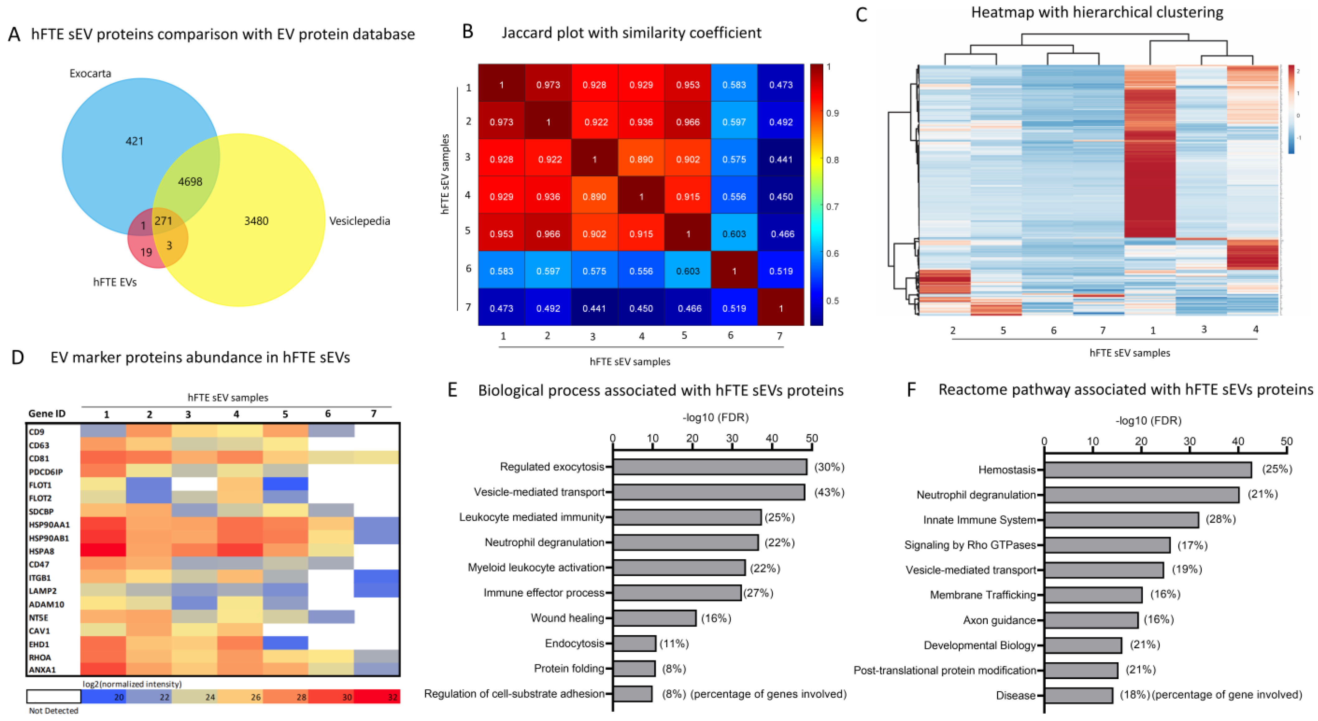 Bioengineering 10 00423 g003