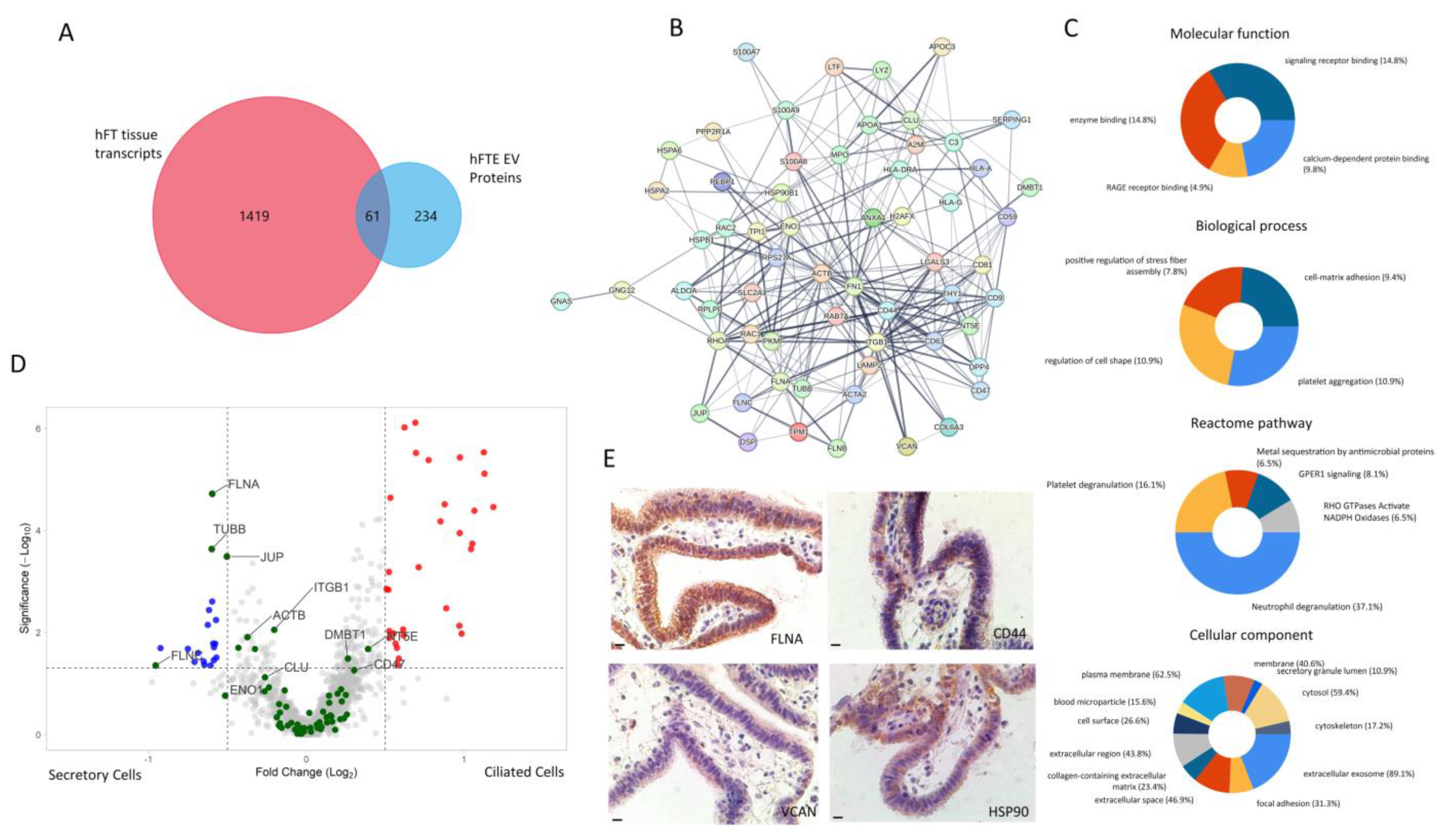 Bioengineering 10 00423 g005