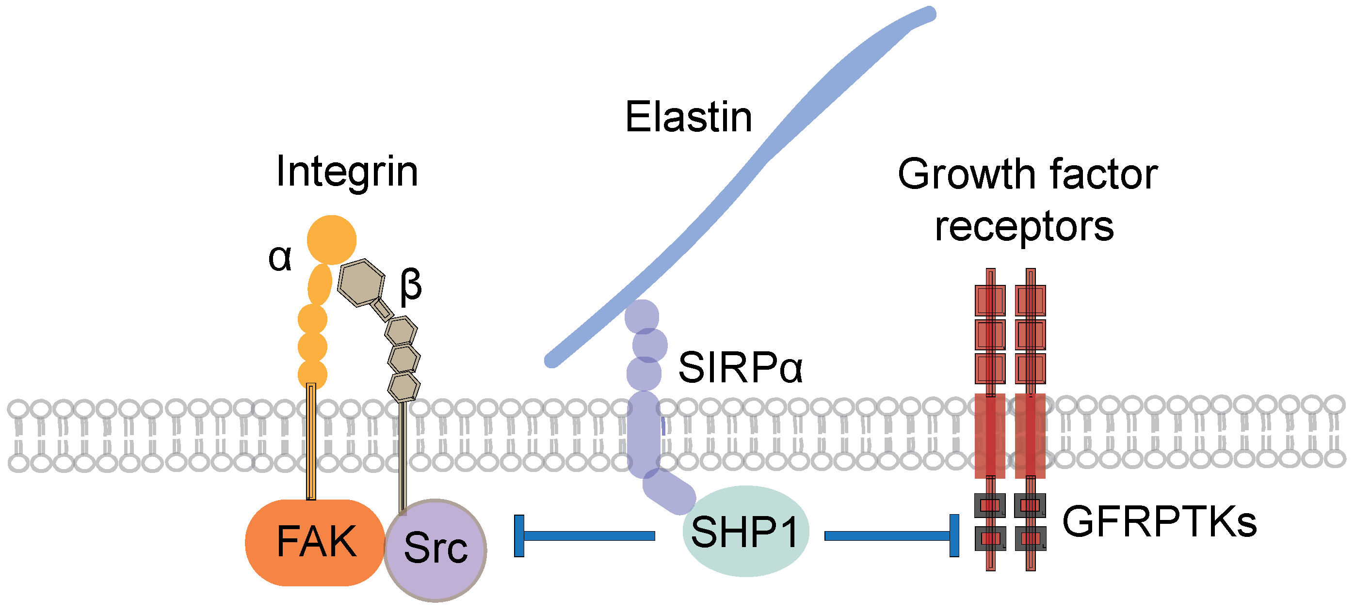 Bioengineering 10 00424 g001