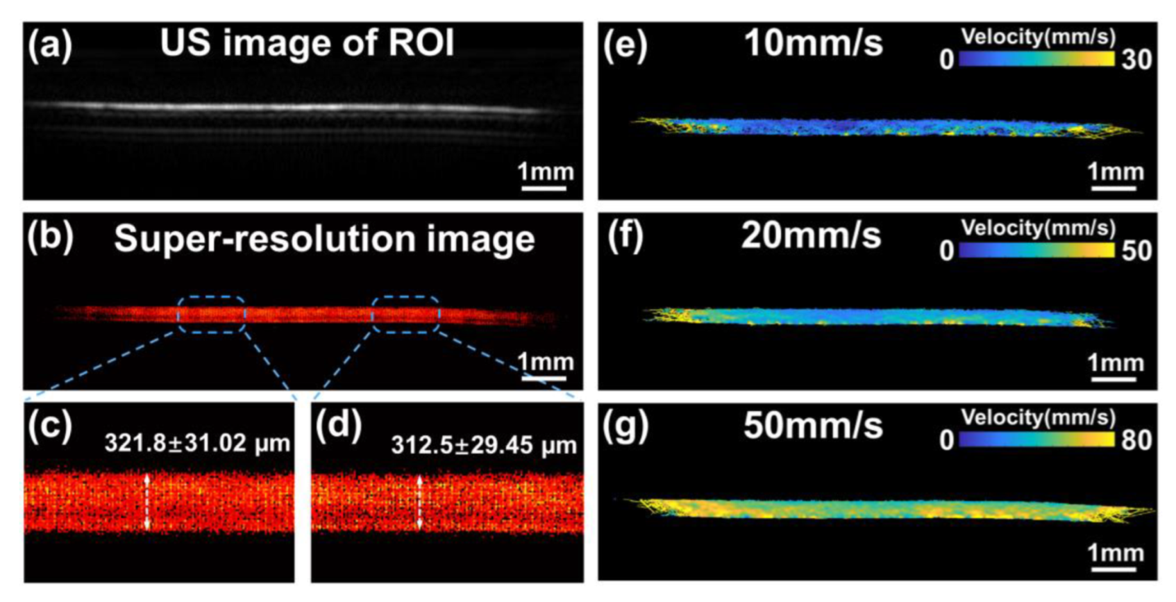 Bioengineering 10 00428 g007 Bioengineering 10 00428 g007