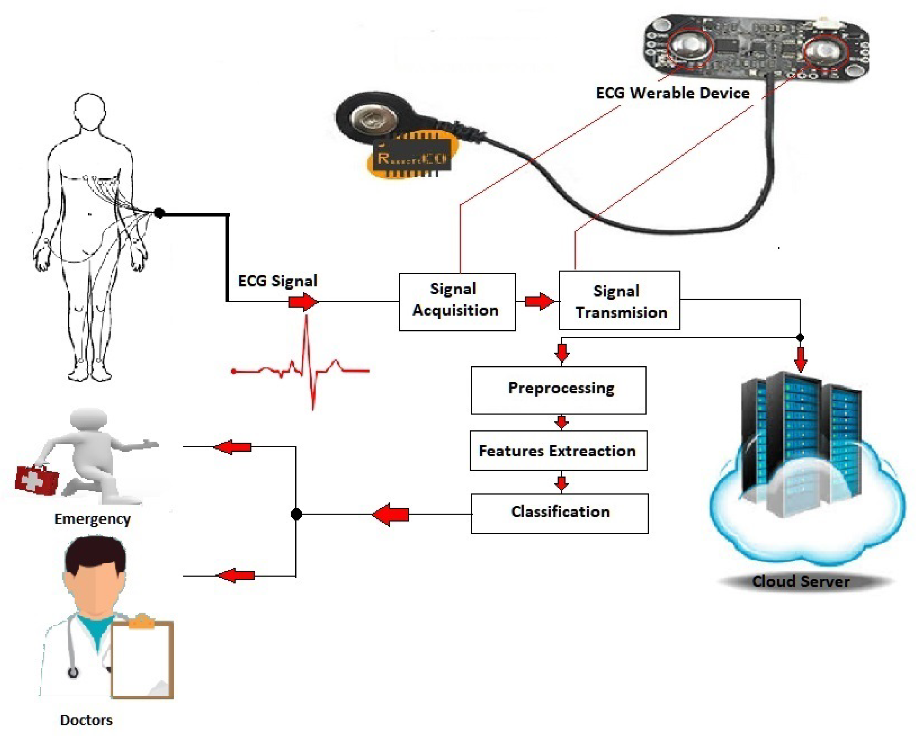 Bioengineering 10 00429 g001