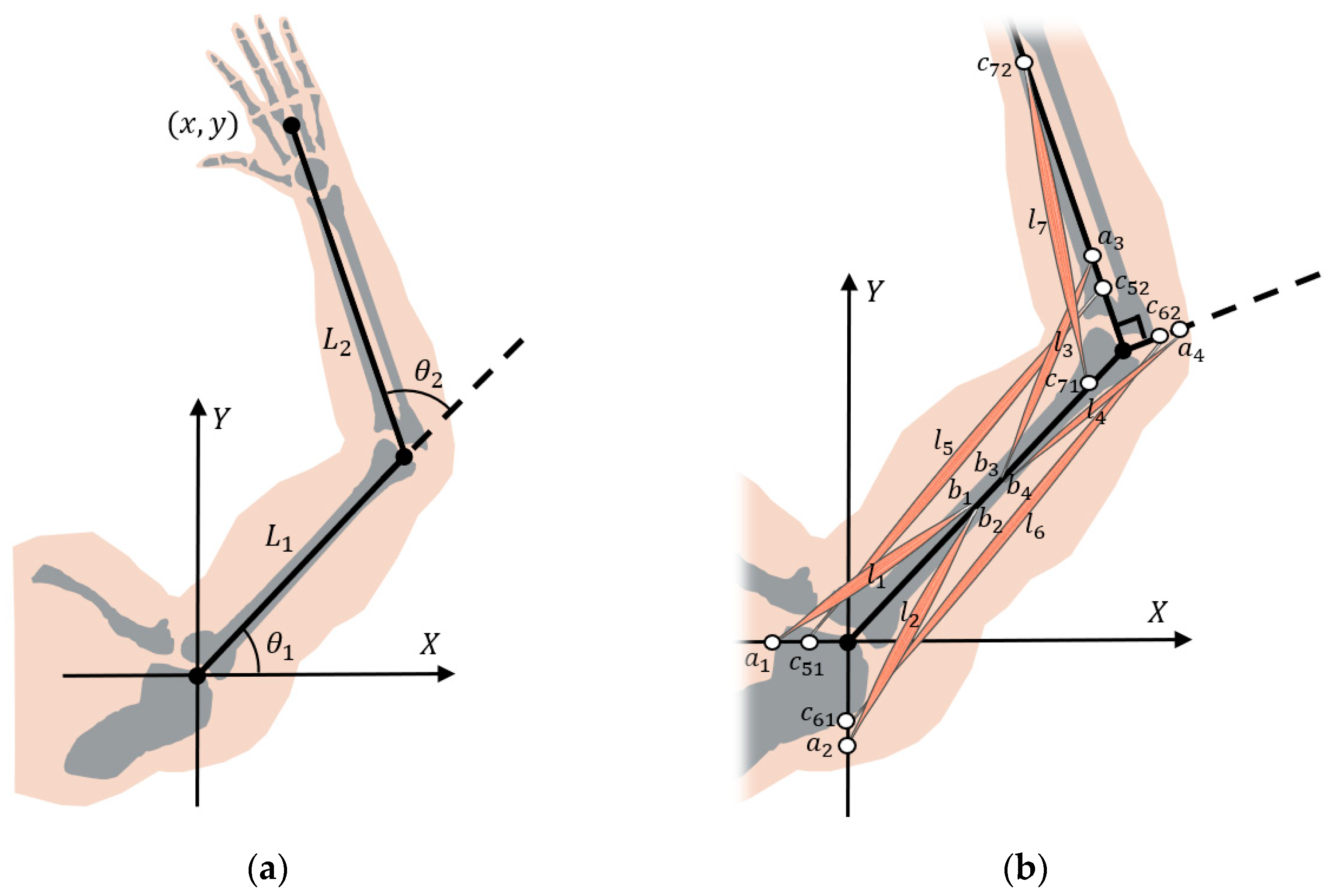 Bioengineering 10 00436 g001