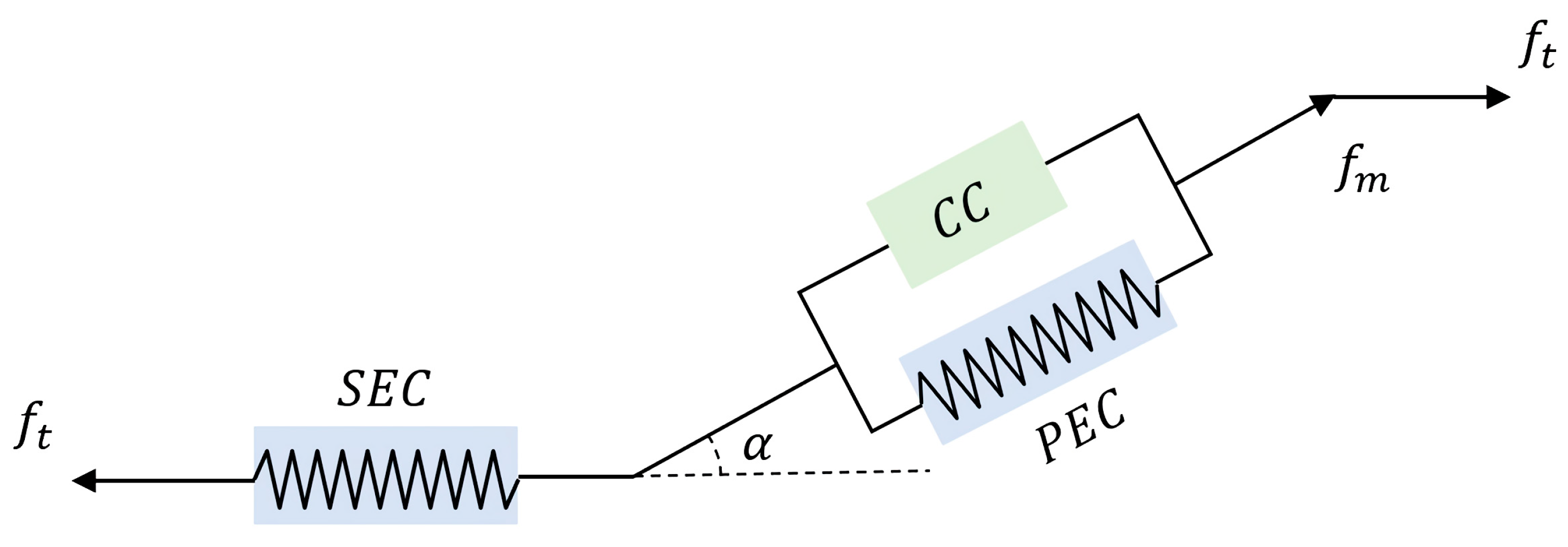 Bioengineering 10 00436 g002