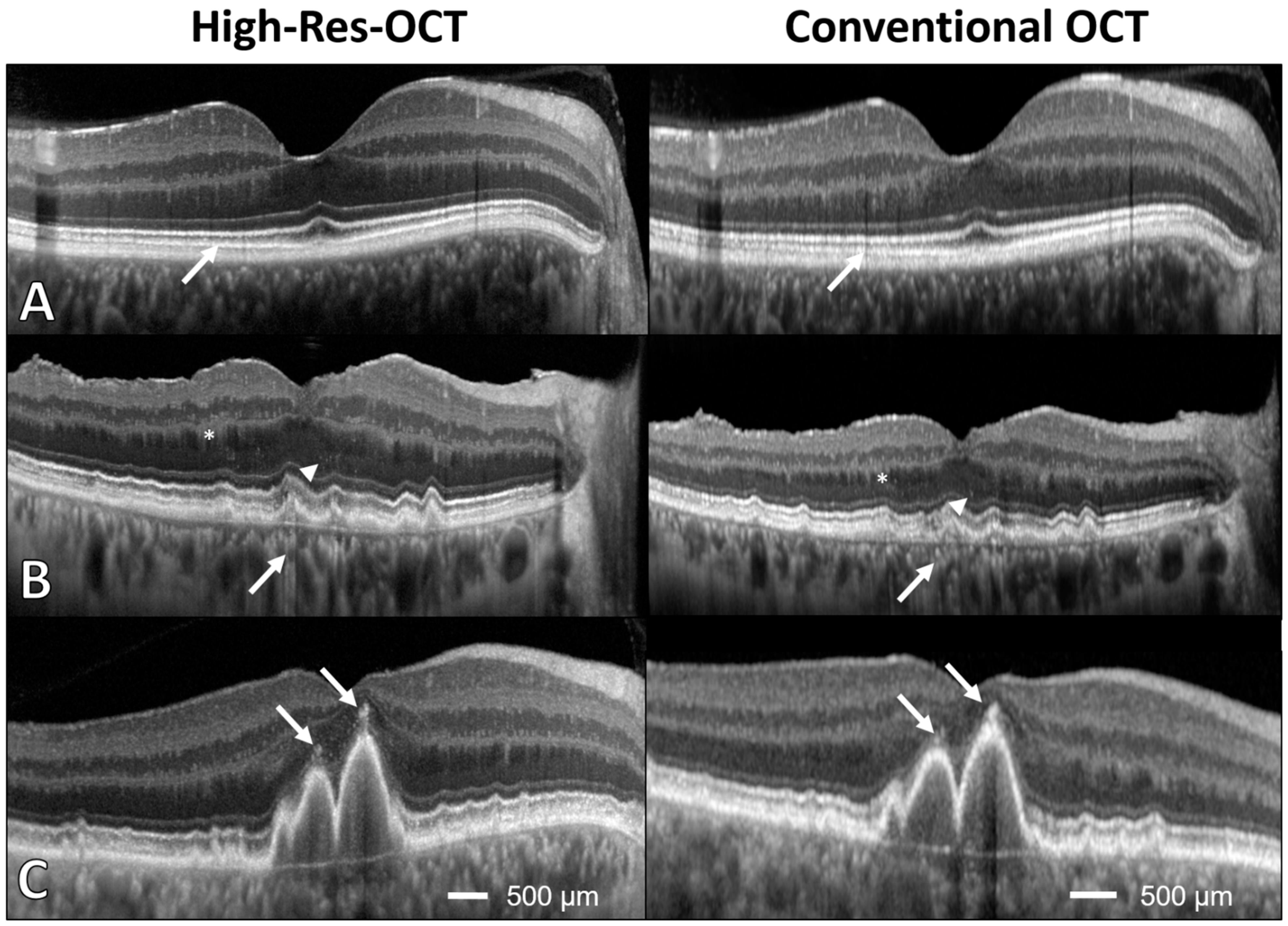 Bioengineering 10 00438 g003 Bioengineering 10 00438 g003