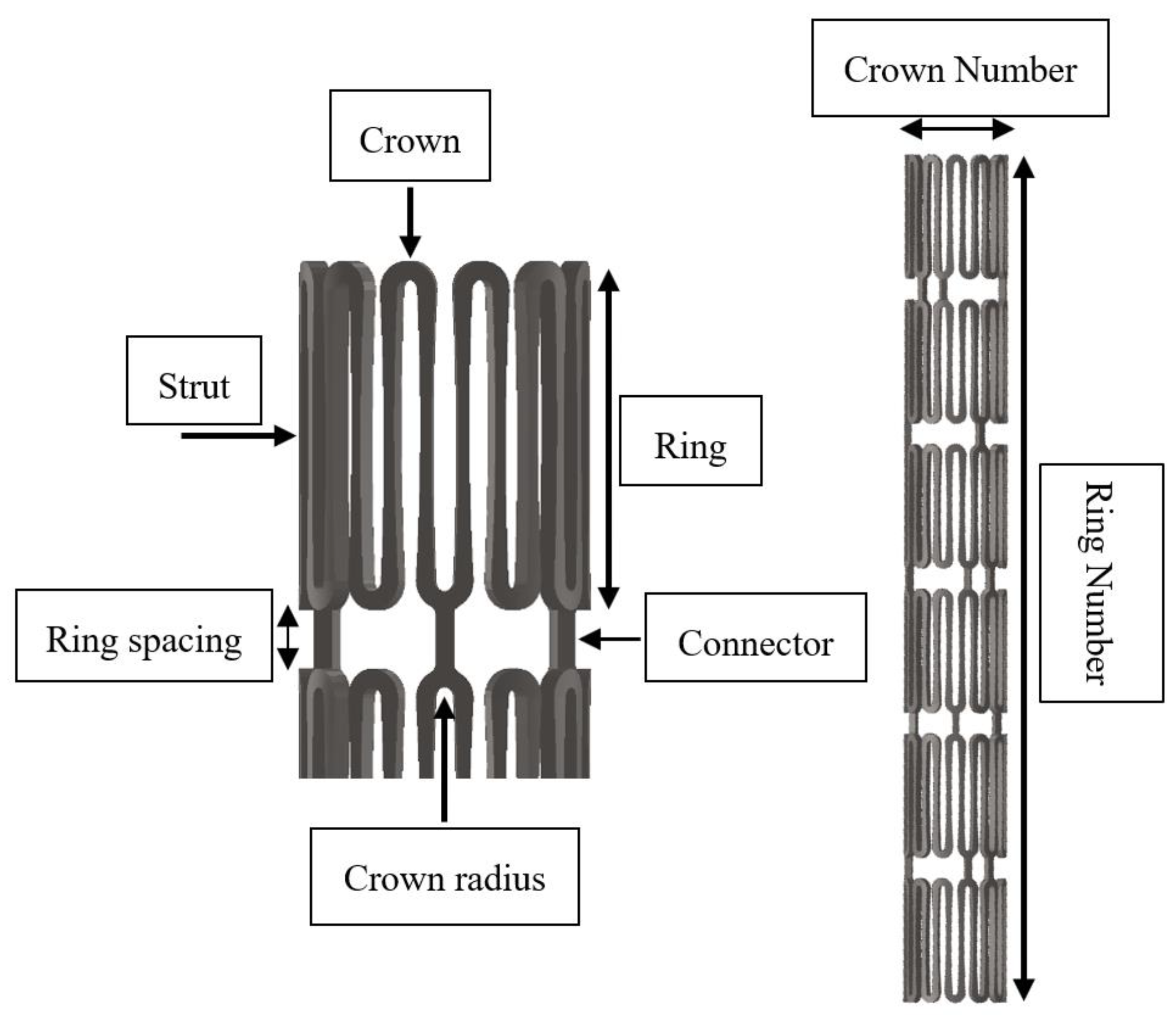 Bioengineering 10 00443 g002 Bioengineering 10 00443 g002