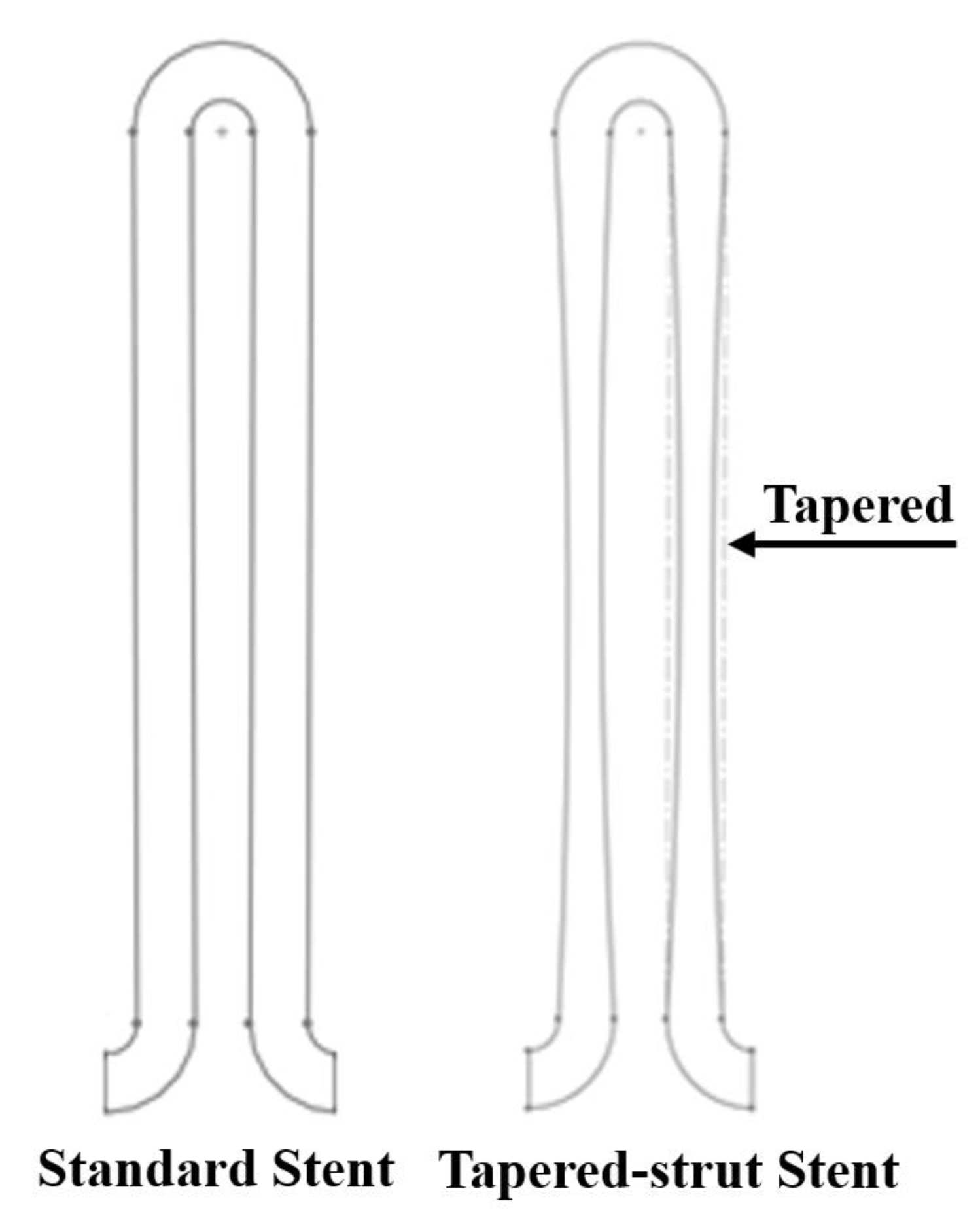 Bioengineering 10 00443 g003 Bioengineering 10 00443 g003