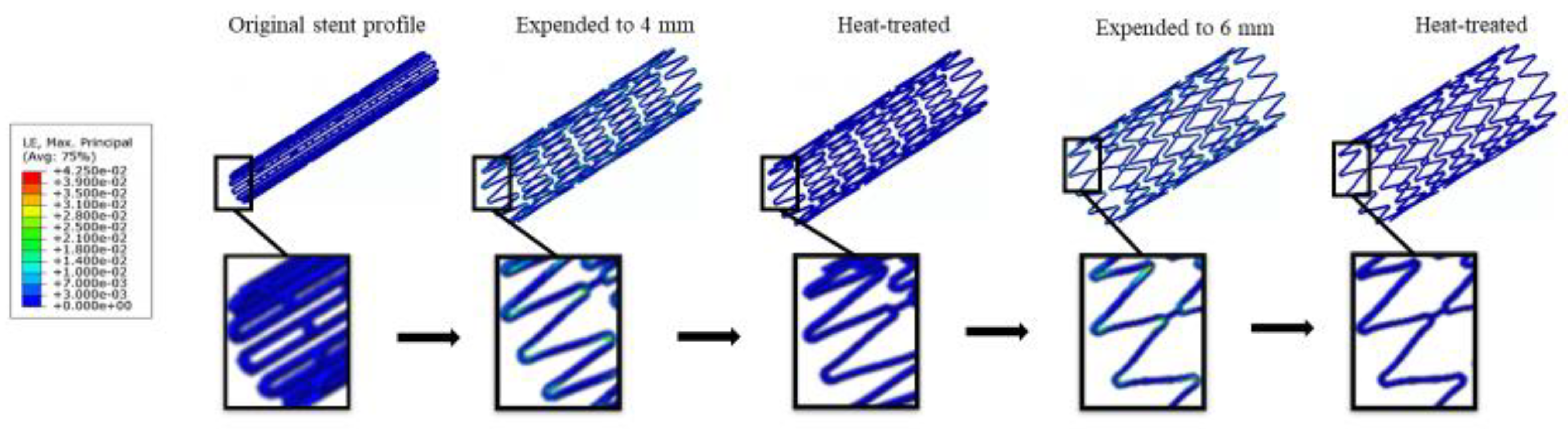 Bioengineering 10 00443 g007 Bioengineering 10 00443 g007