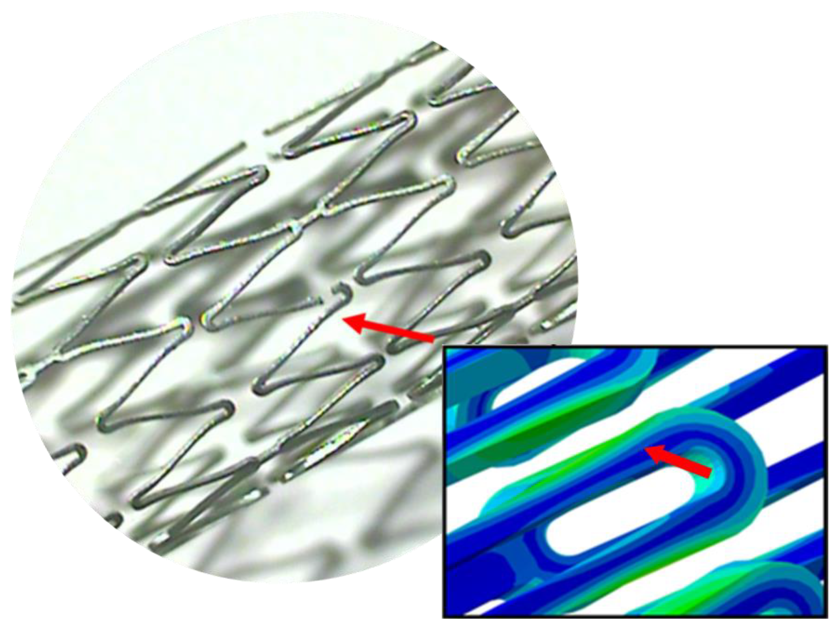 Bioengineering 10 00443 g013 Bioengineering 10 00443 g013