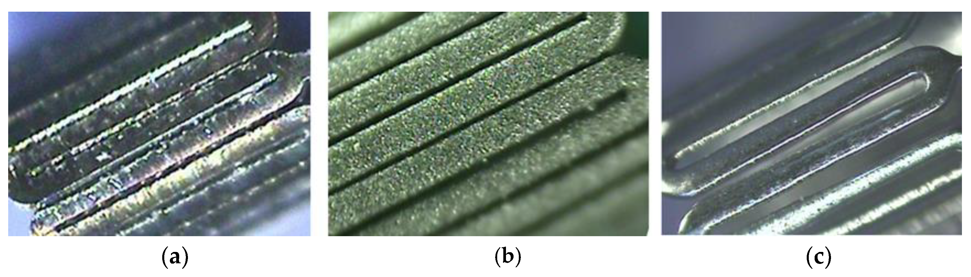 Bioengineering 10 00443 g014 Bioengineering 10 00443 g014