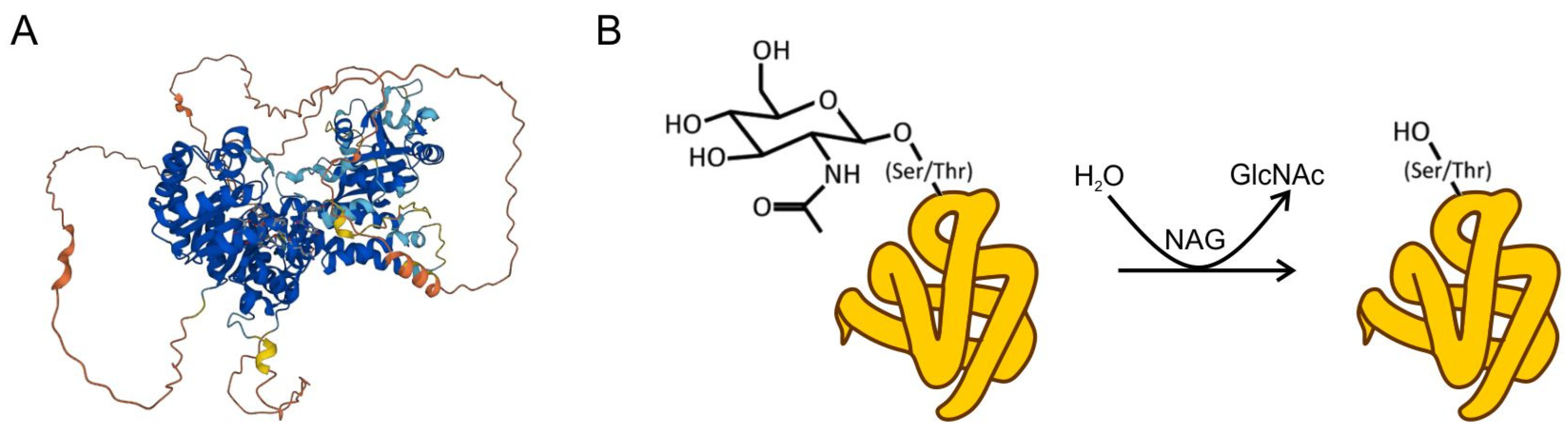 Bioengineering 10 00444 g001