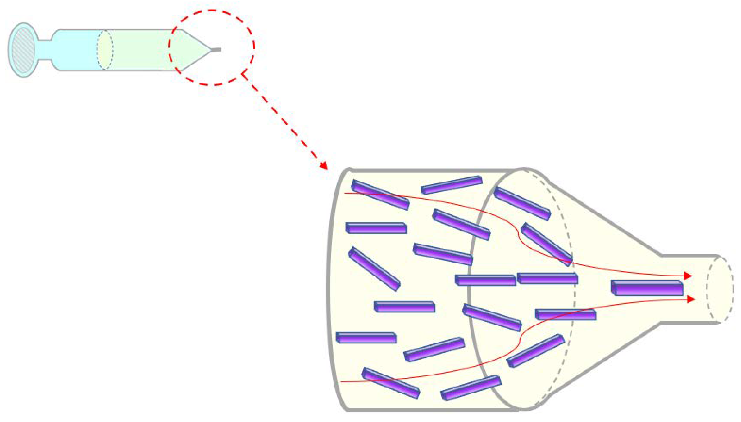 Bioengineering 10 00448 g001 Bioengineering 10 00448 g001