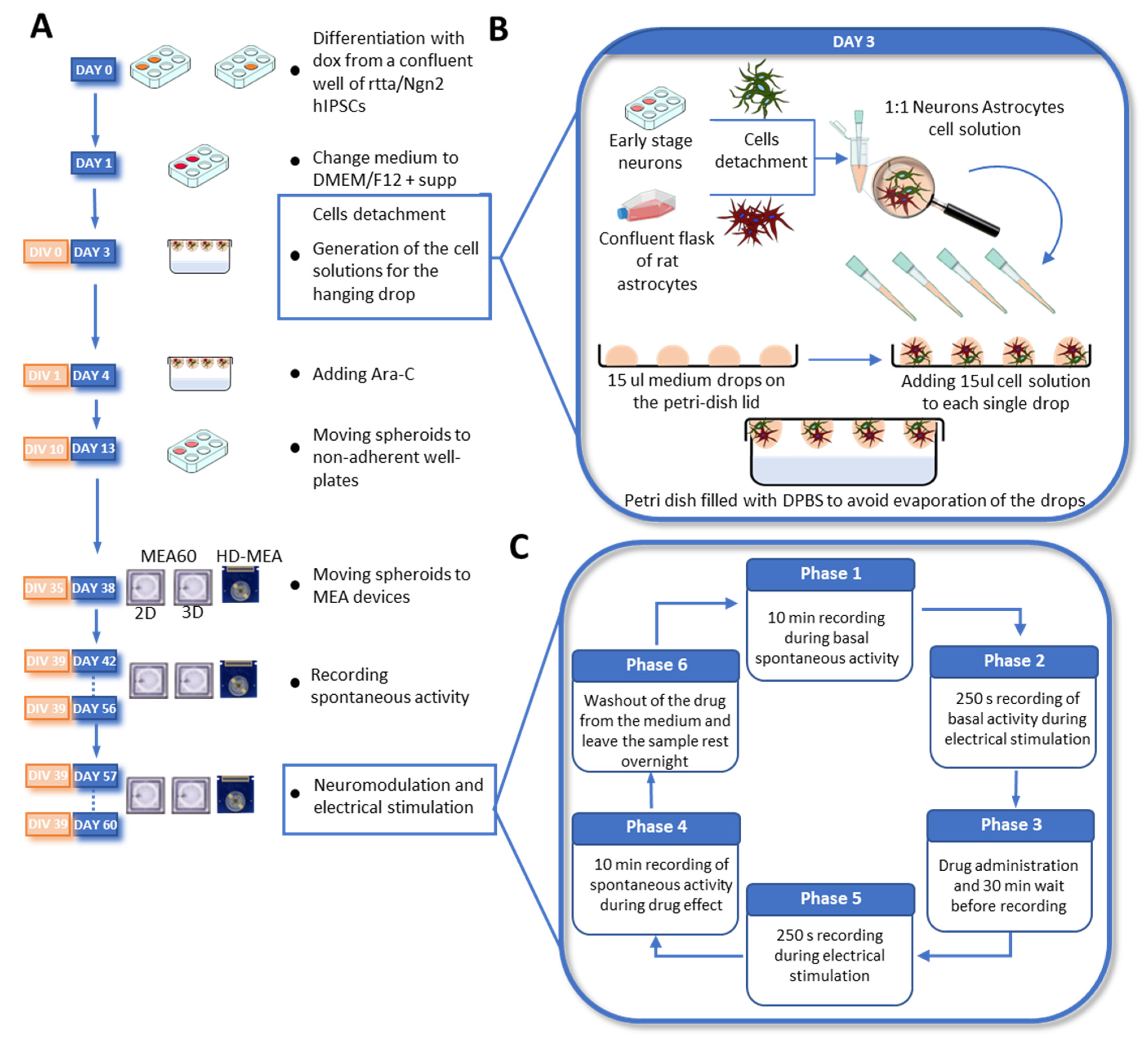 Bioengineering 10 00449 g001 Bioengineering 10 00449 g001