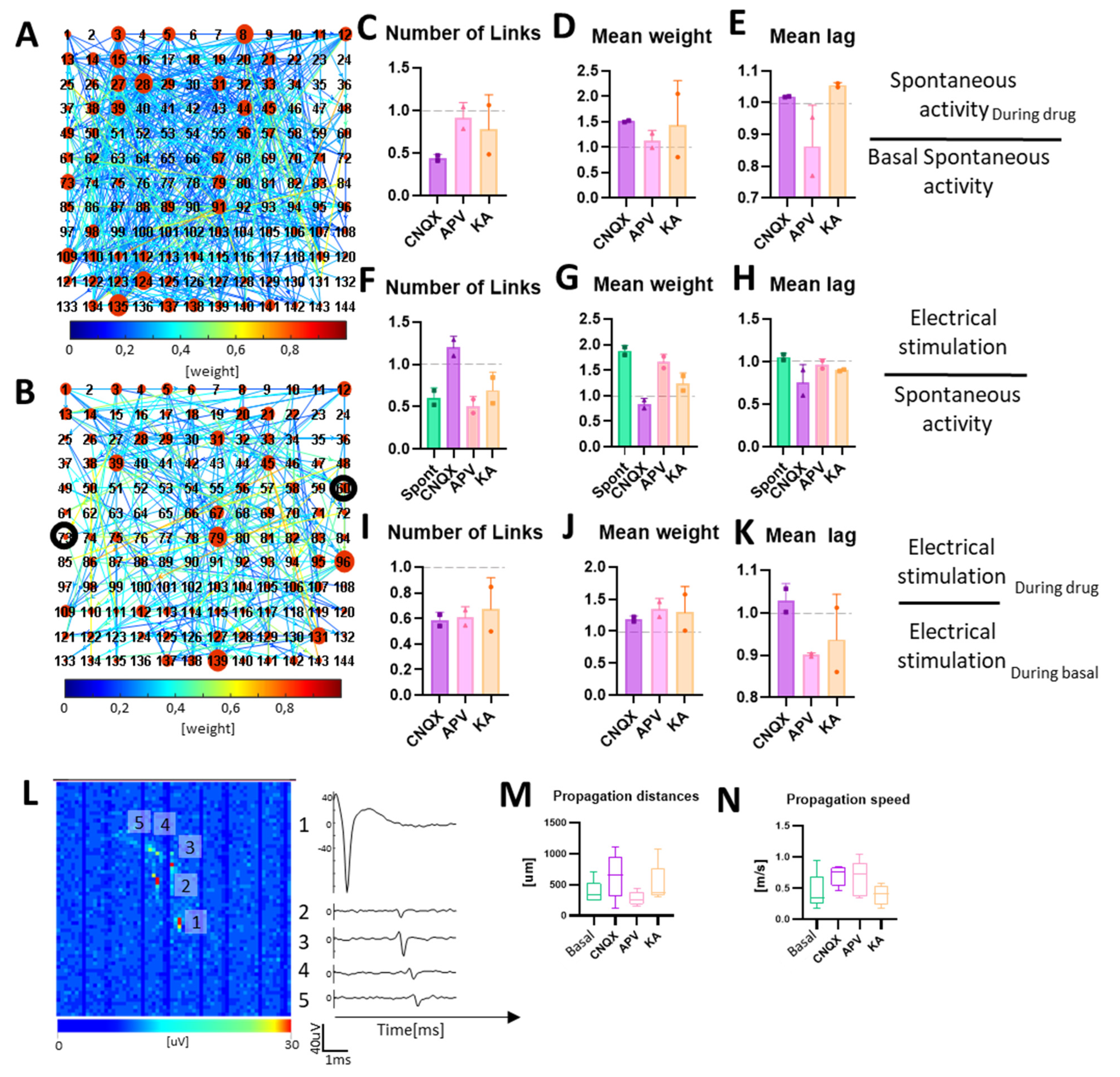 Bioengineering 10 00449 g006 Bioengineering 10 00449 g006
