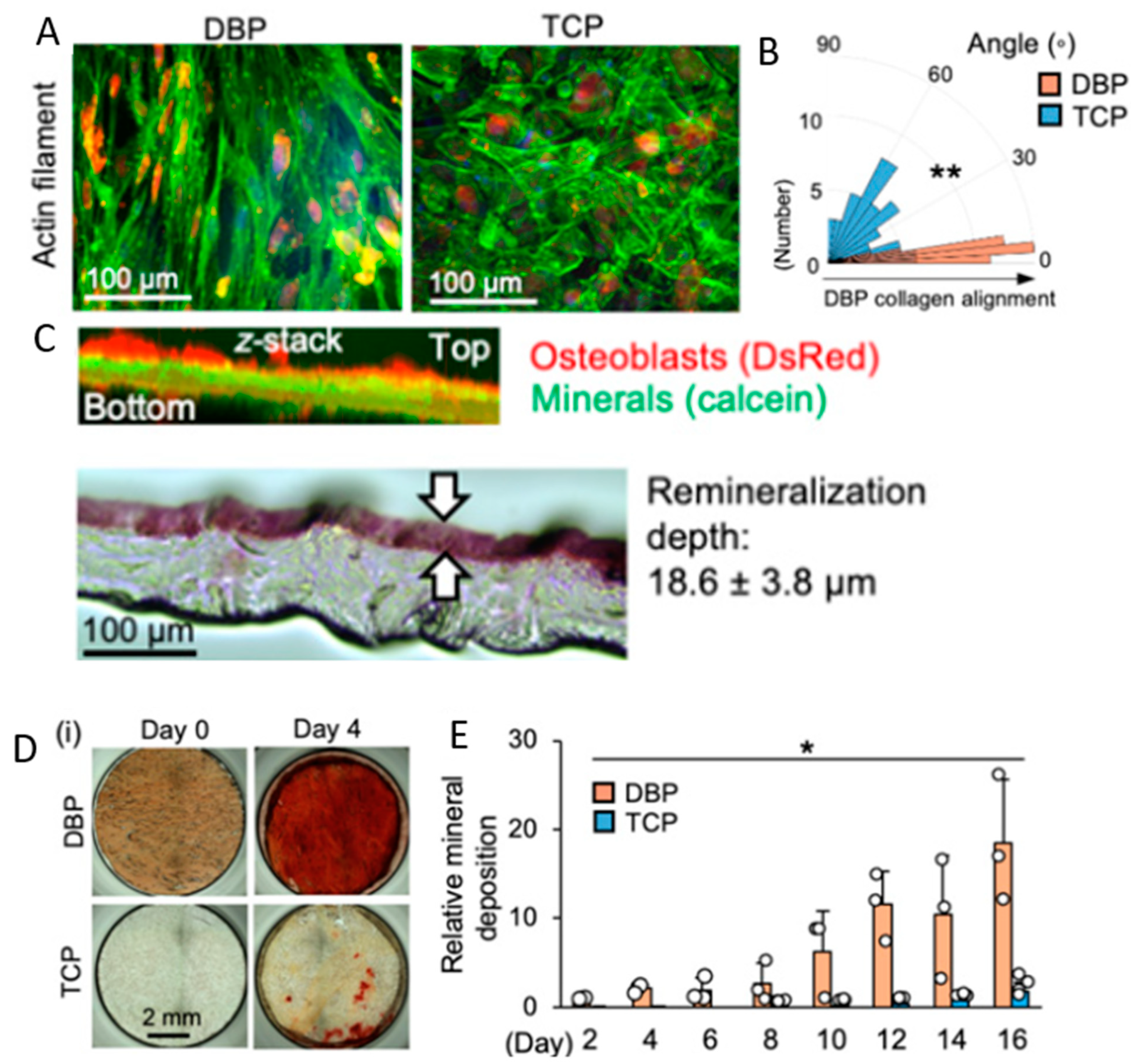 Bioengineering 10 00453 g004