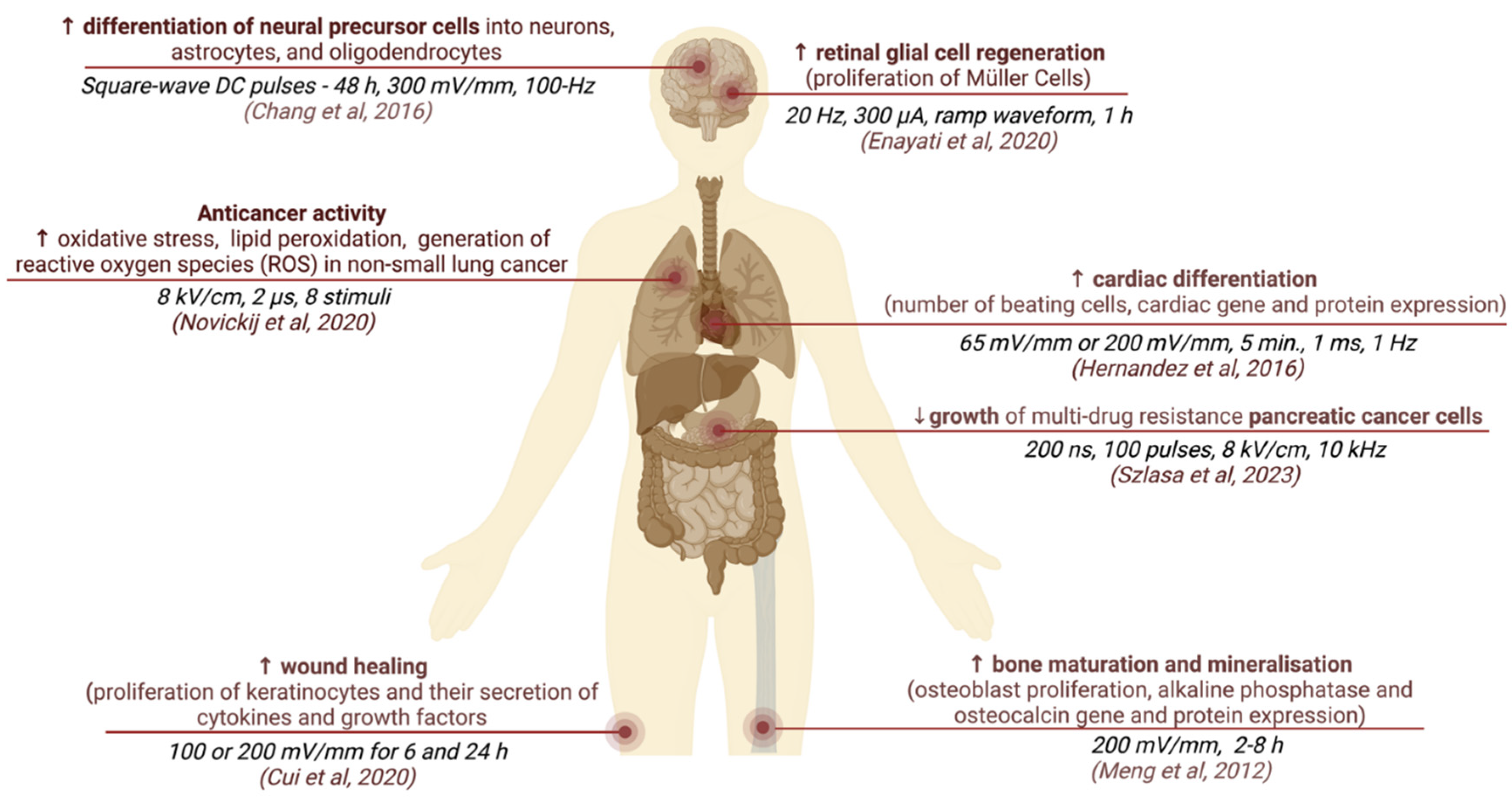 Bioengineering 10 00454 g003