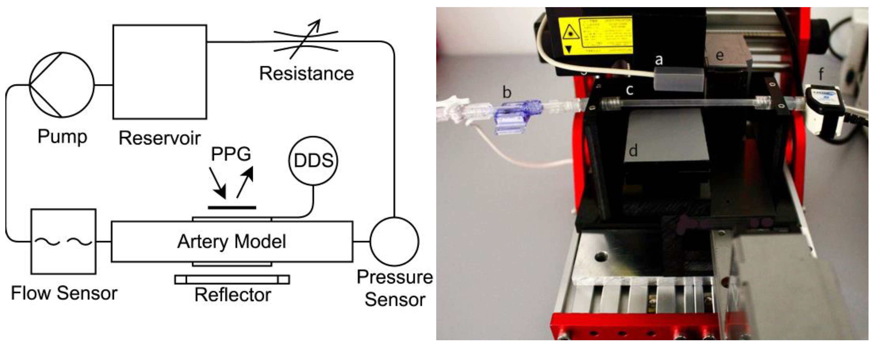 Bioengineering 10 00460 g001