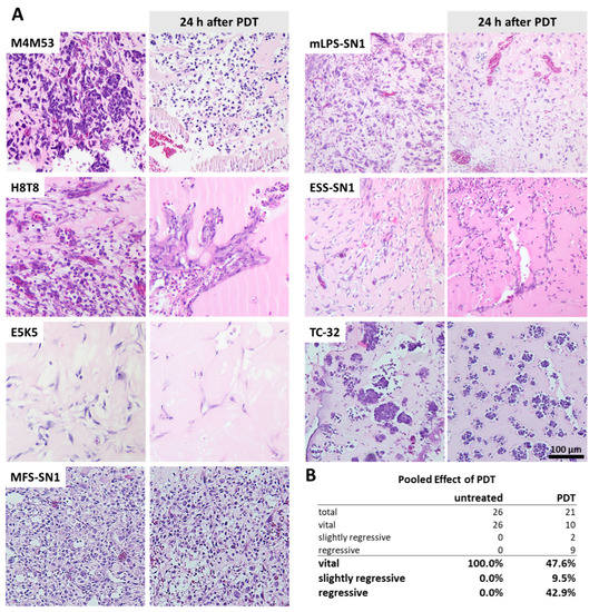 Bioengineering 10 00464 g003