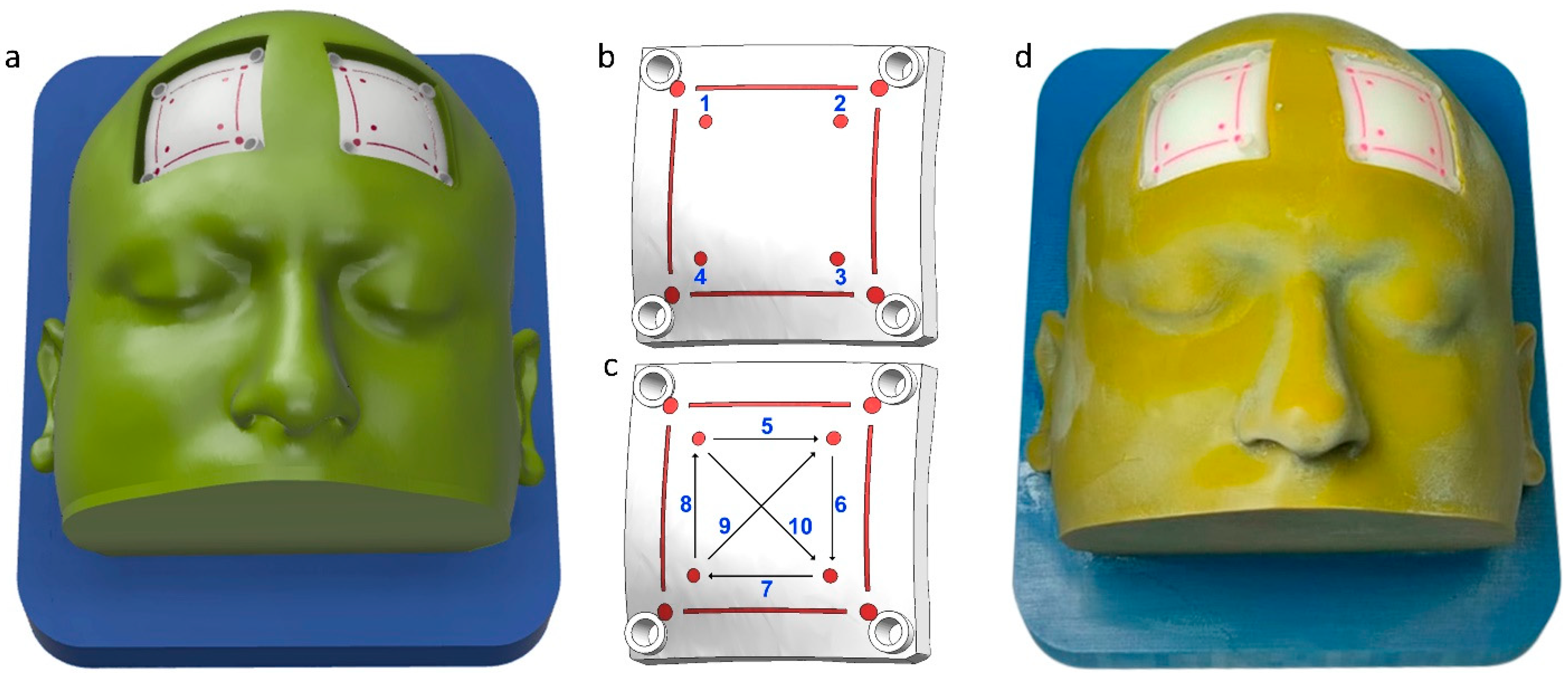 Bioengineering 10 00465 g001
