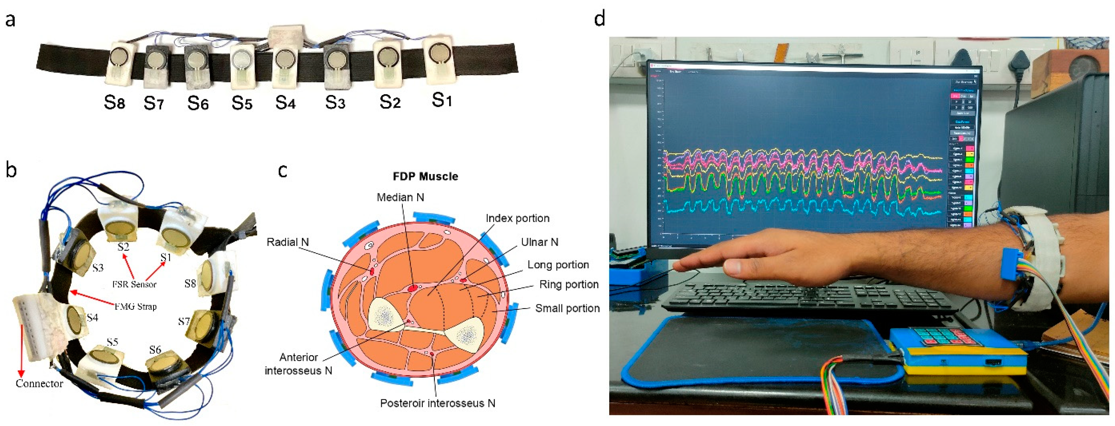 Bioengineering 10 00465 g002