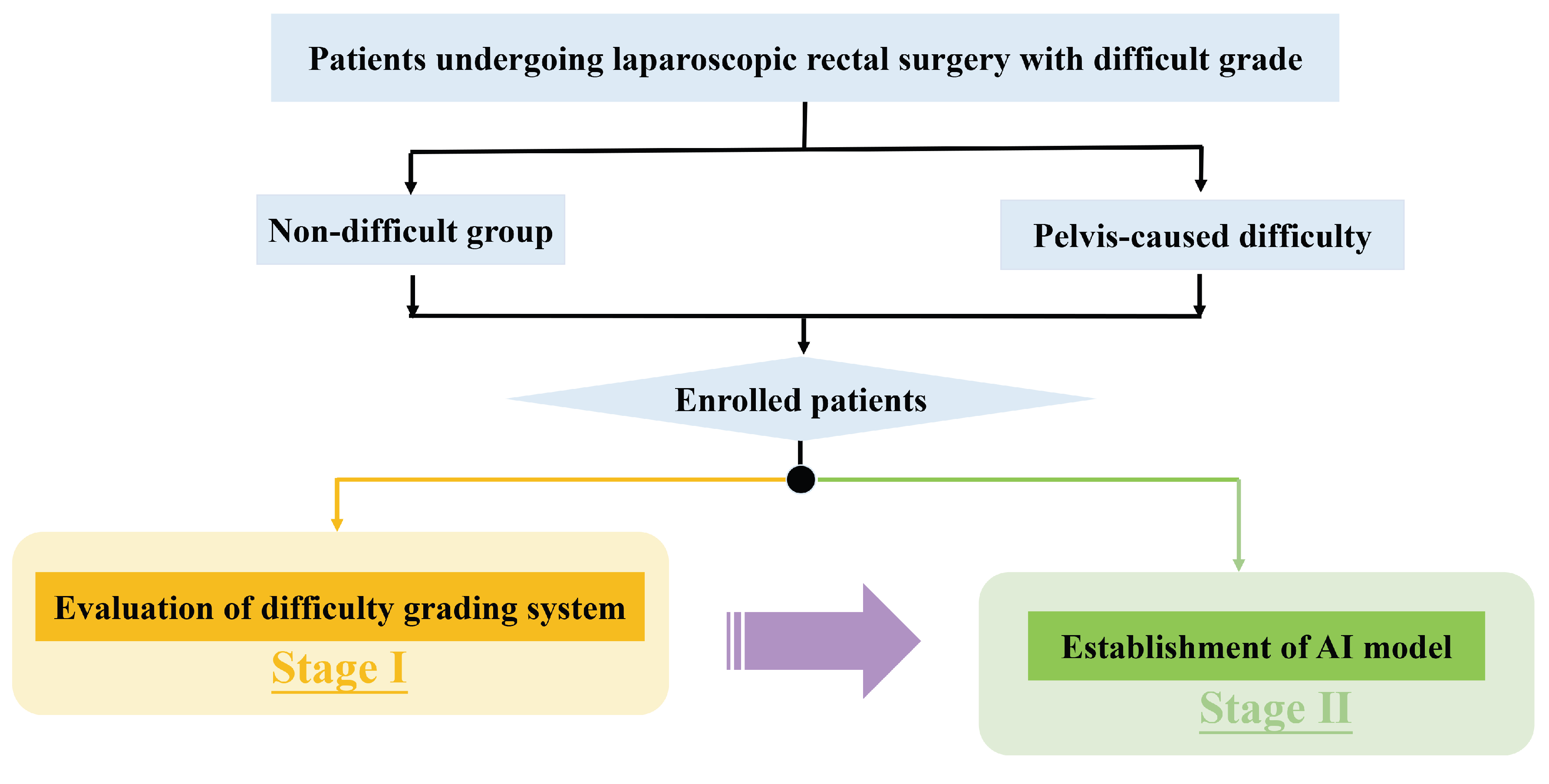 Bioengineering 10 00468 g001
