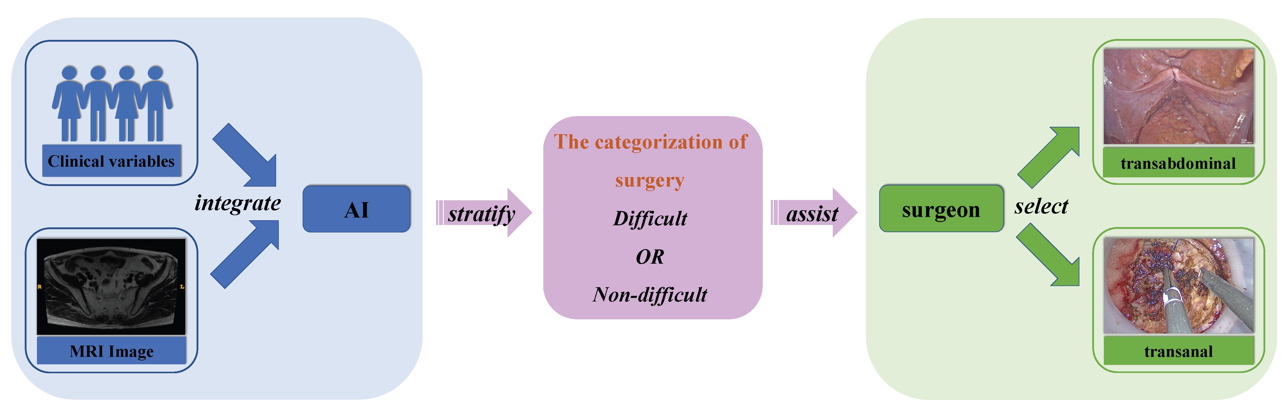 Bioengineering 10 00468 g005