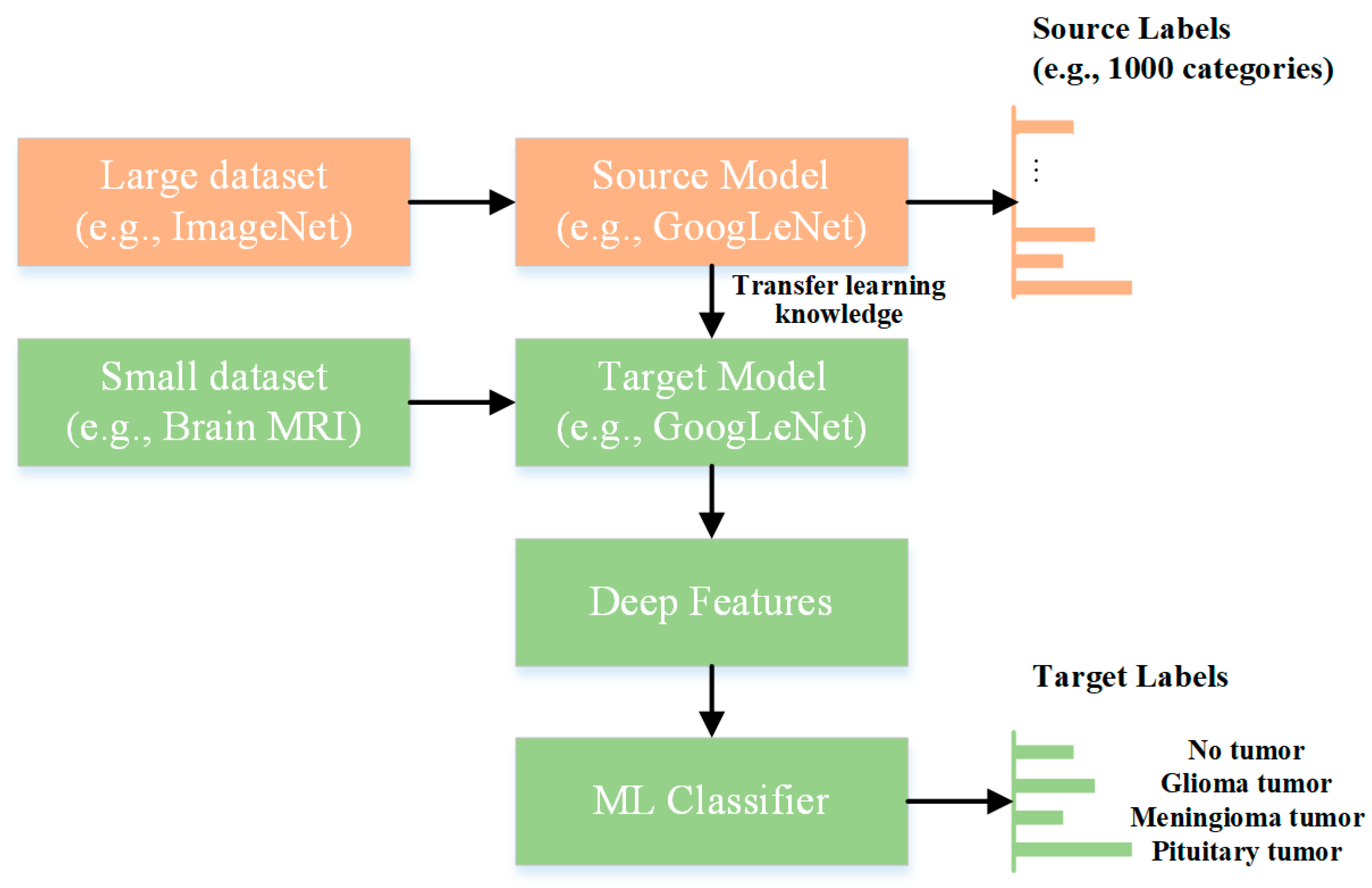 Bioengineering 10 00475 g001