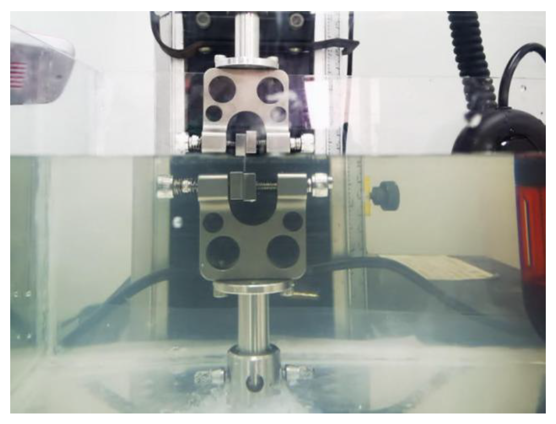 Bioengineering 10 00479 g001