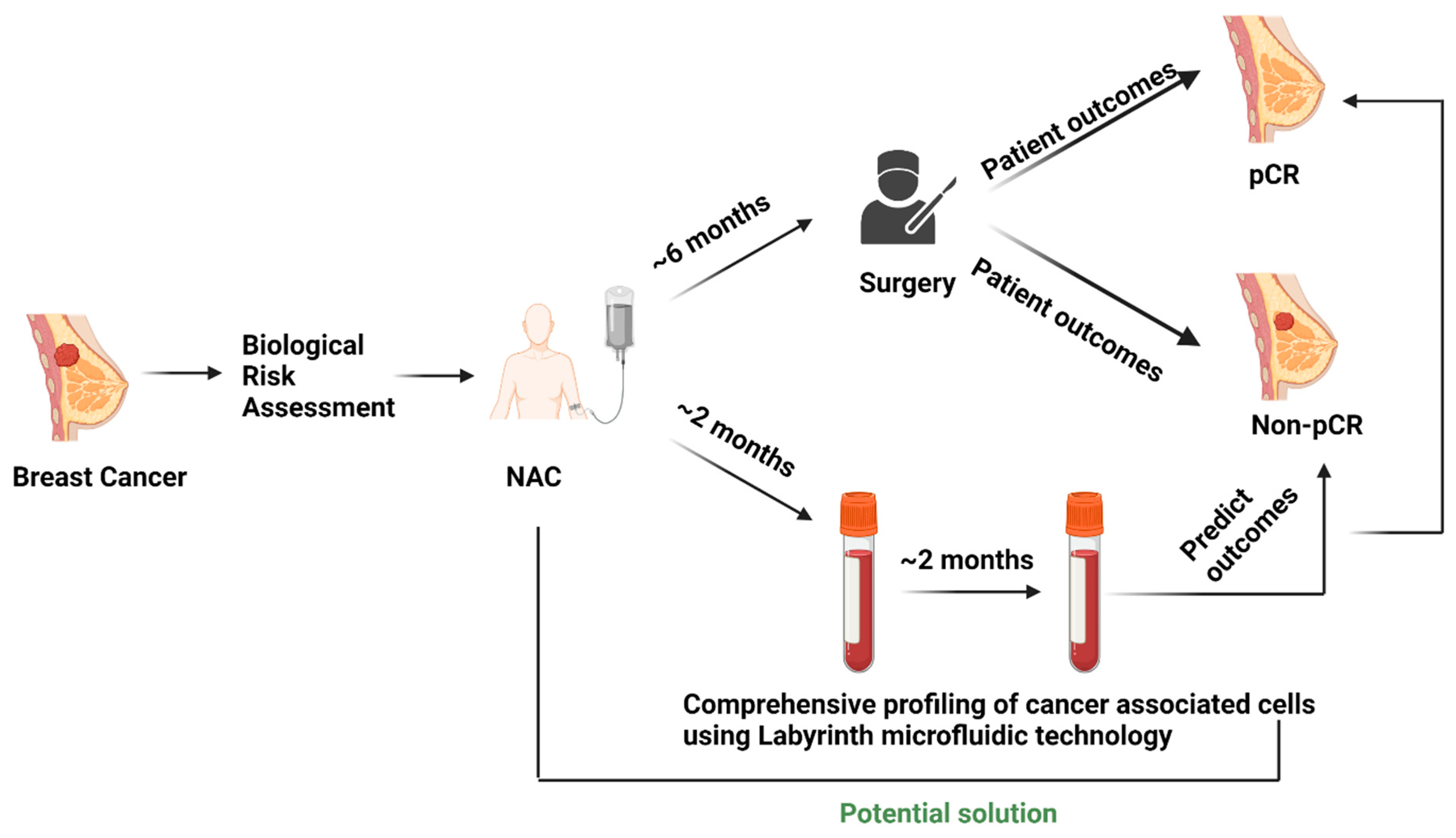 Bioengineering 10 00485 g001