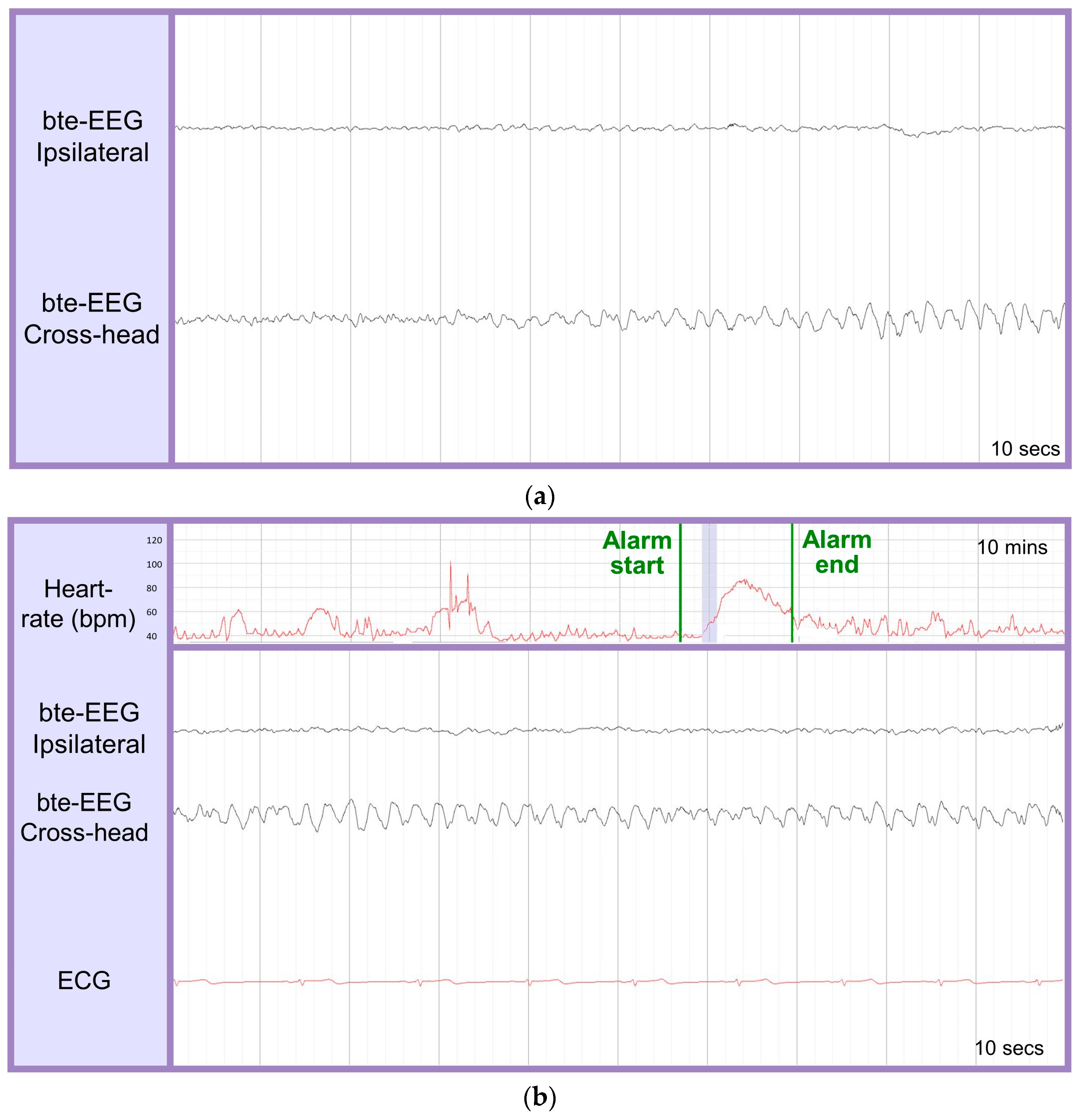 Bioengineering 10 00491 g002