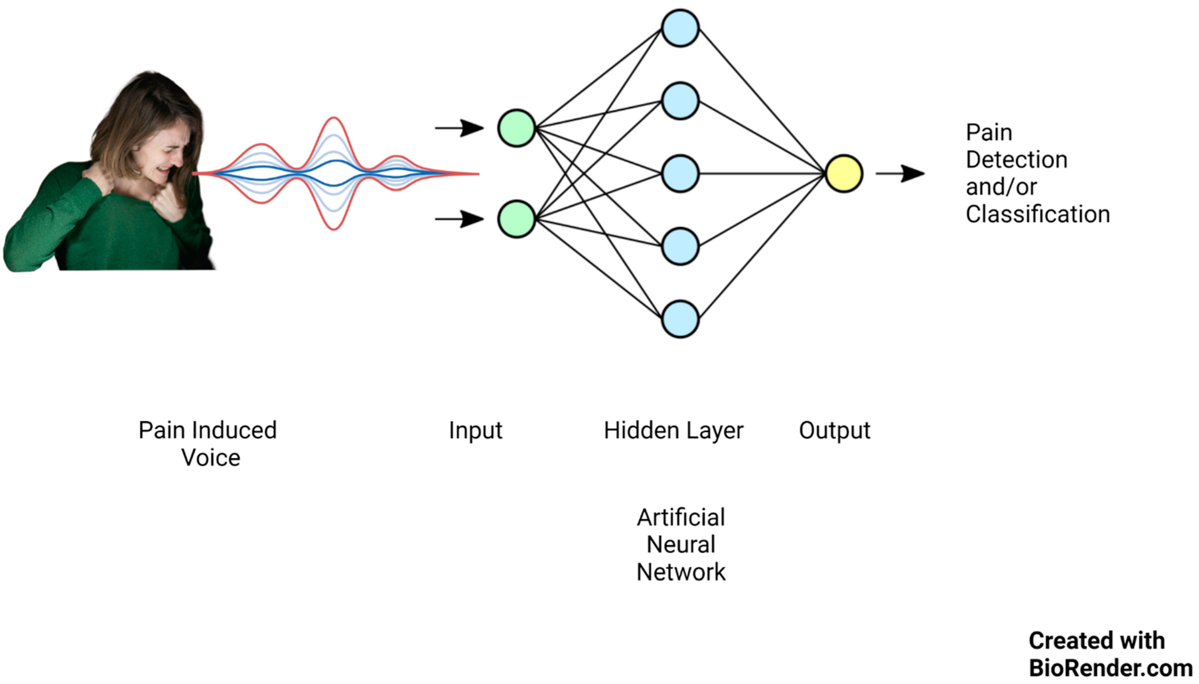 Bioengineering 10 00500 g001