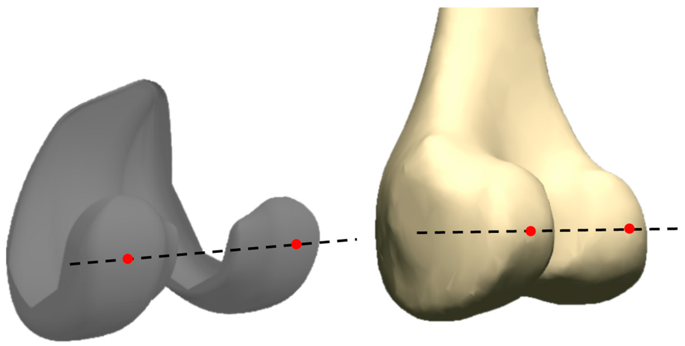 Bioengineering 10 00503 g002