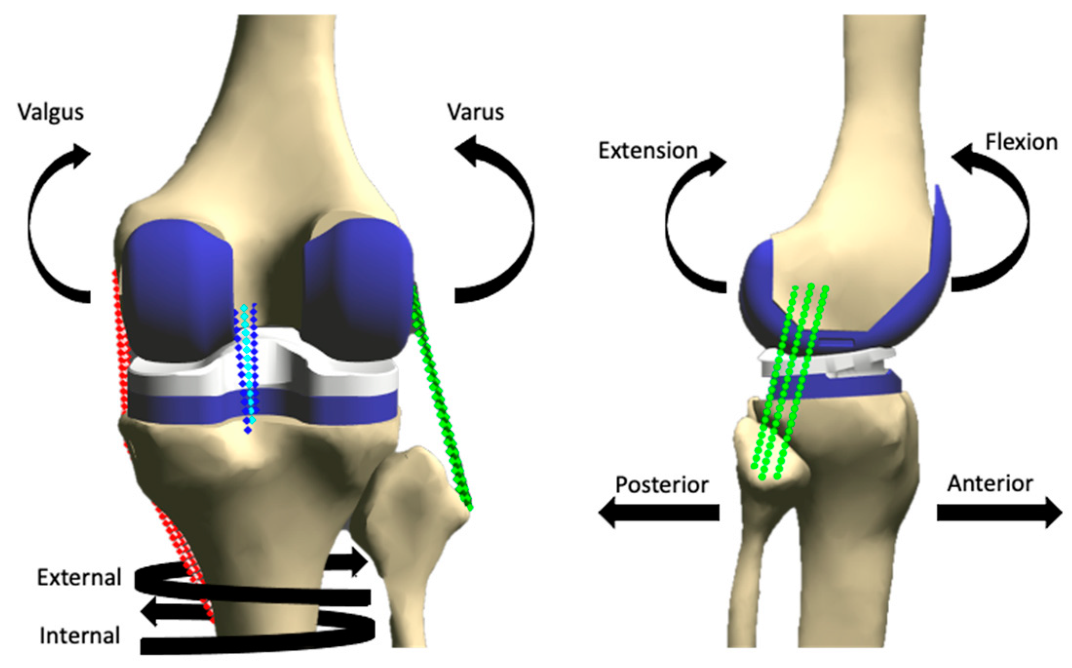 Bioengineering 10 00503 g004