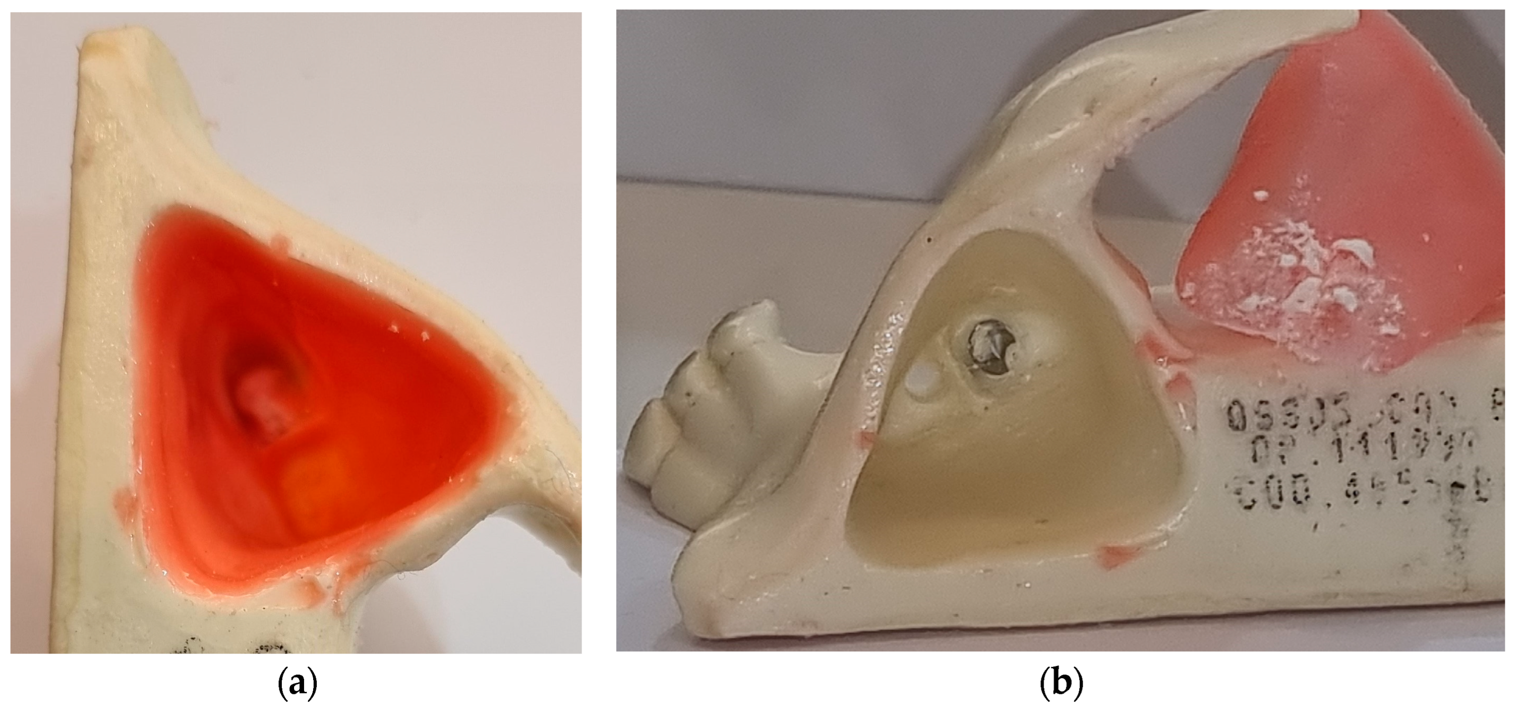 Bioengineering 10 00505 g003