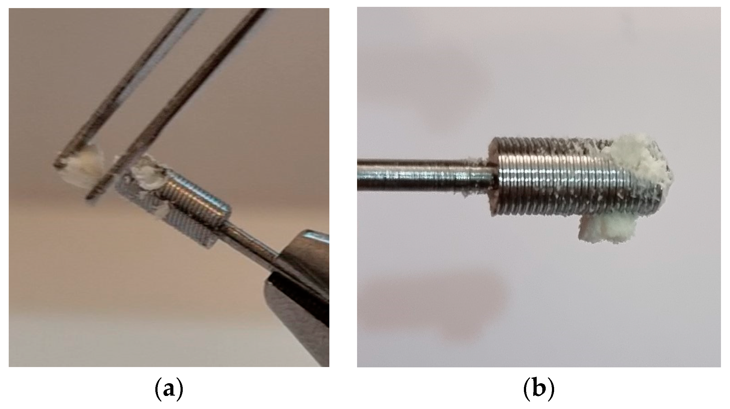 Bioengineering 10 00505 g004