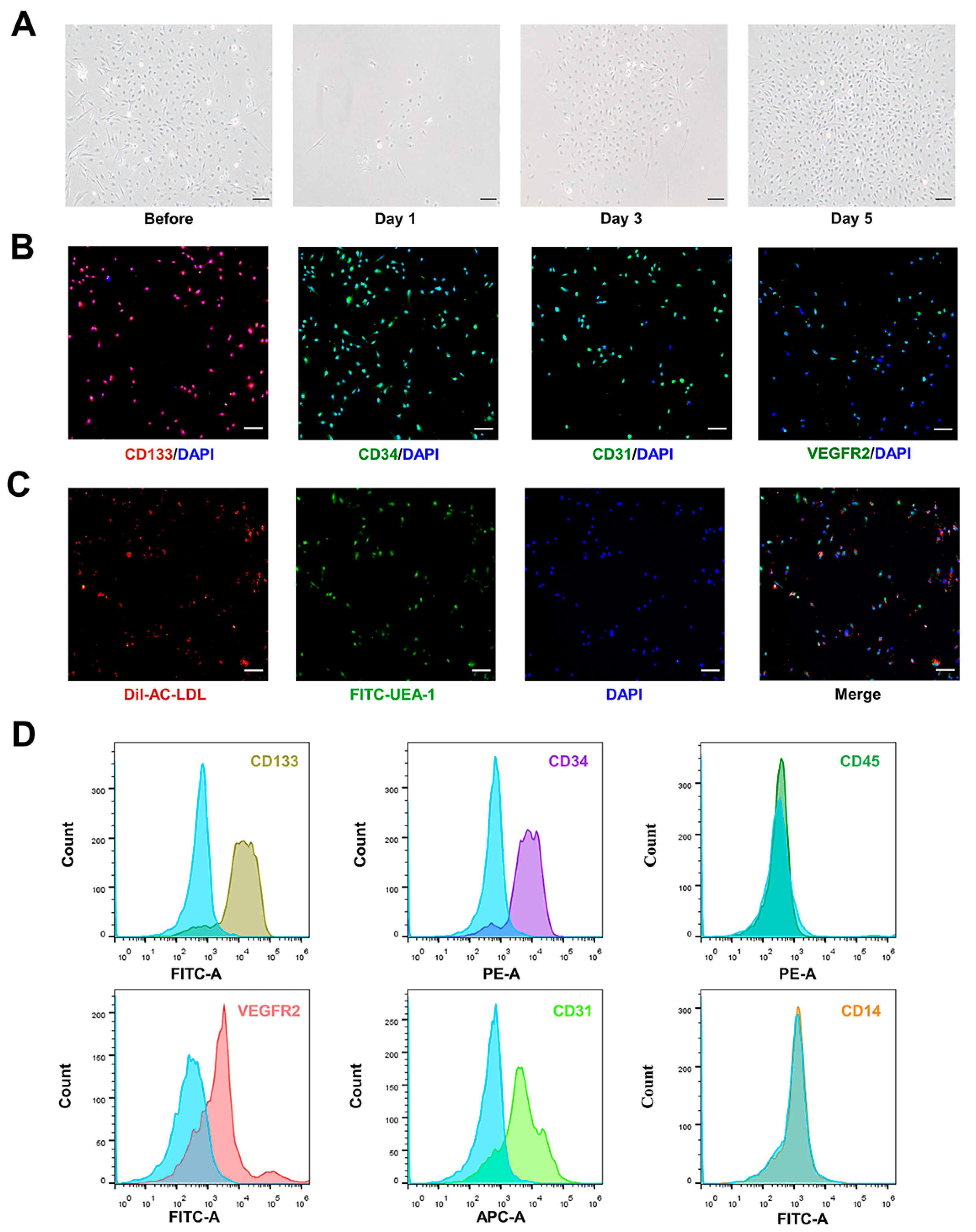 Bioengineering 10 00509 g002