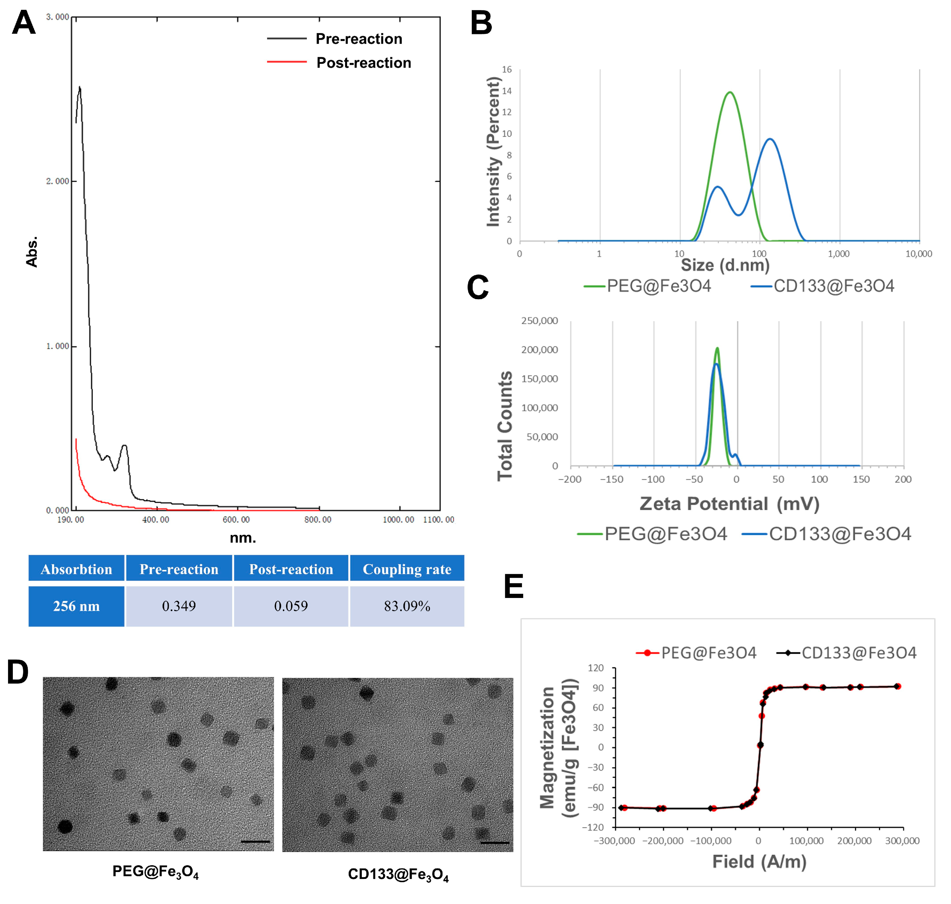 Bioengineering 10 00509 g003