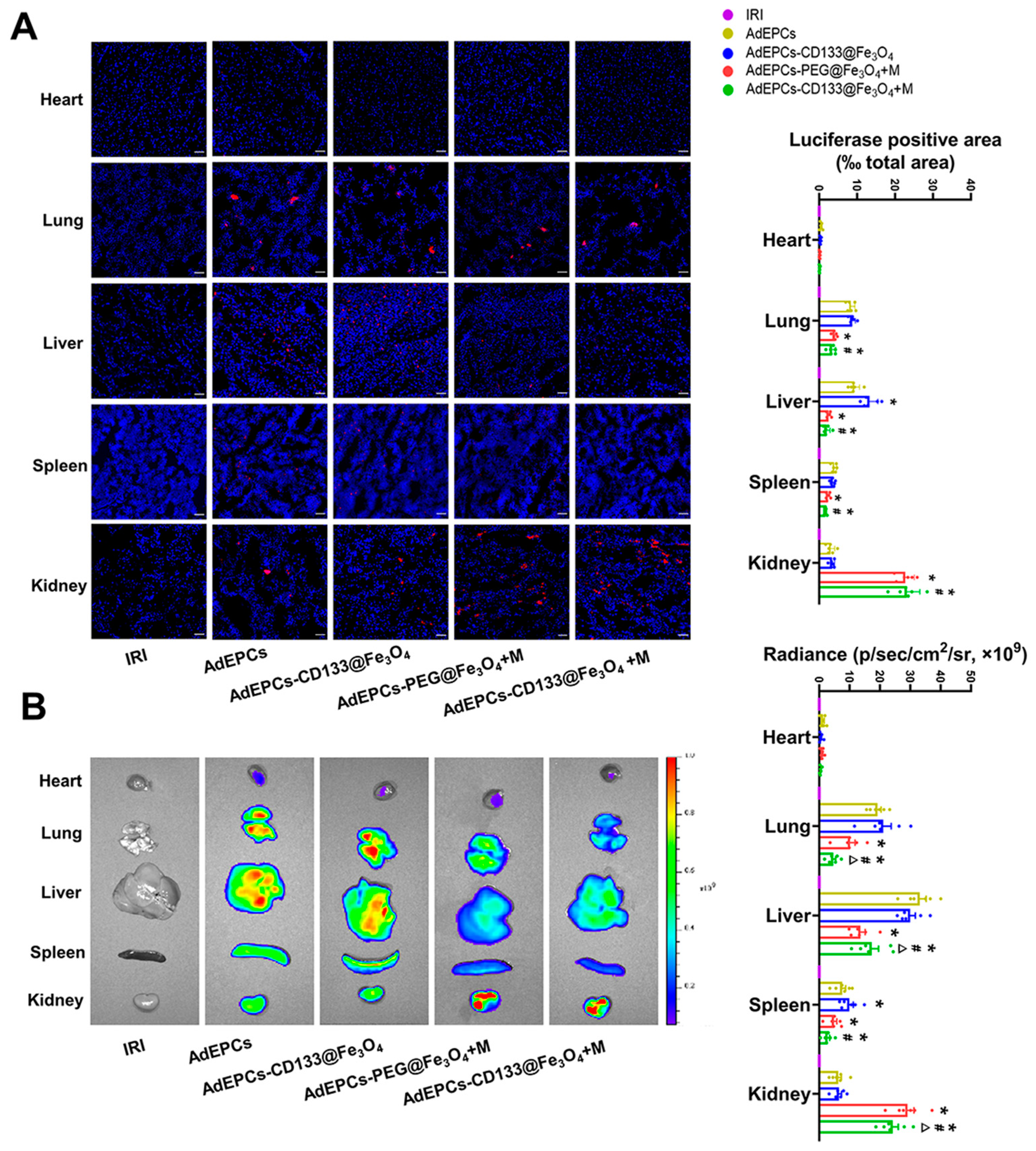 Bioengineering 10 00509 g007