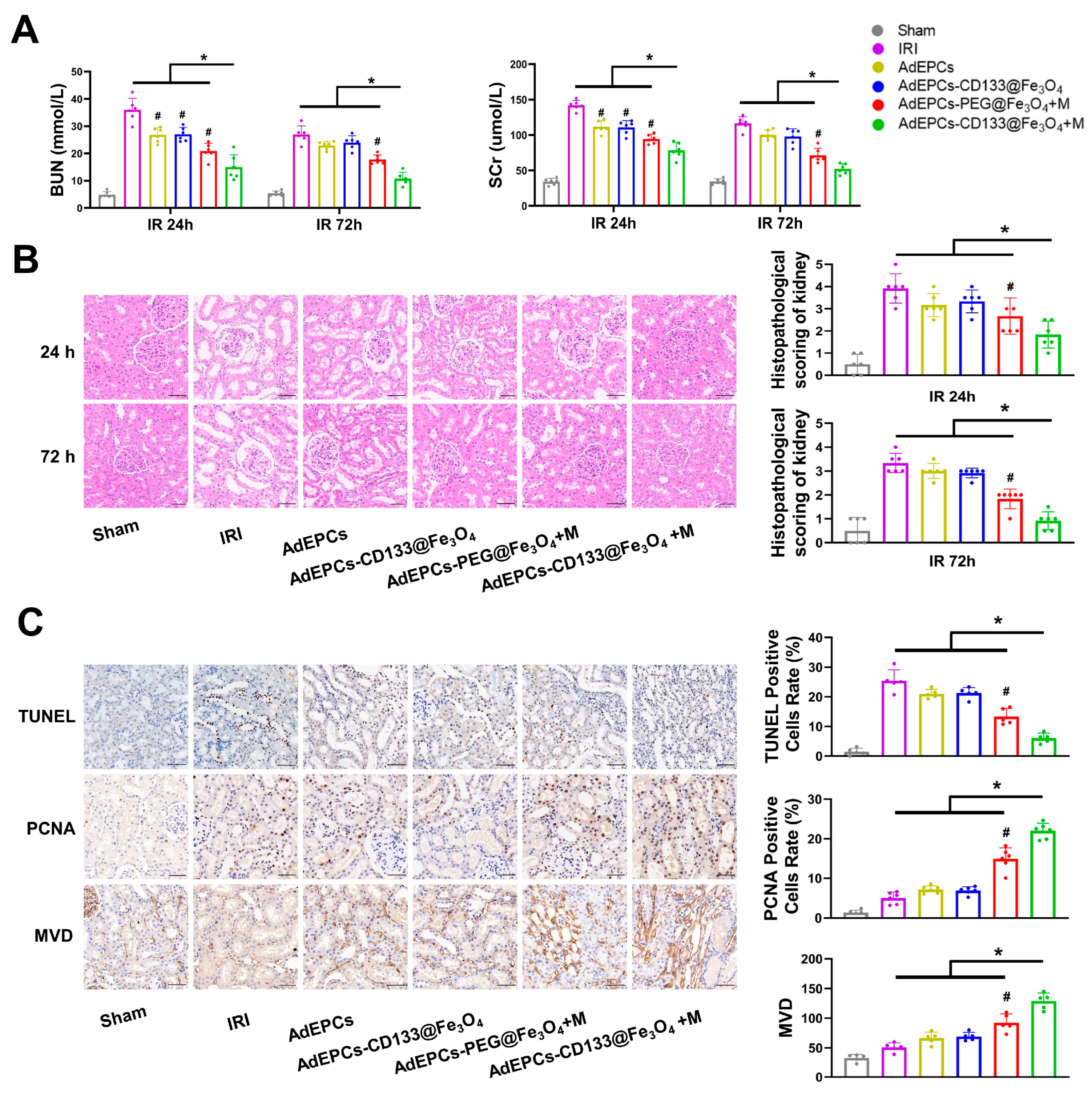 Bioengineering 10 00509 g008