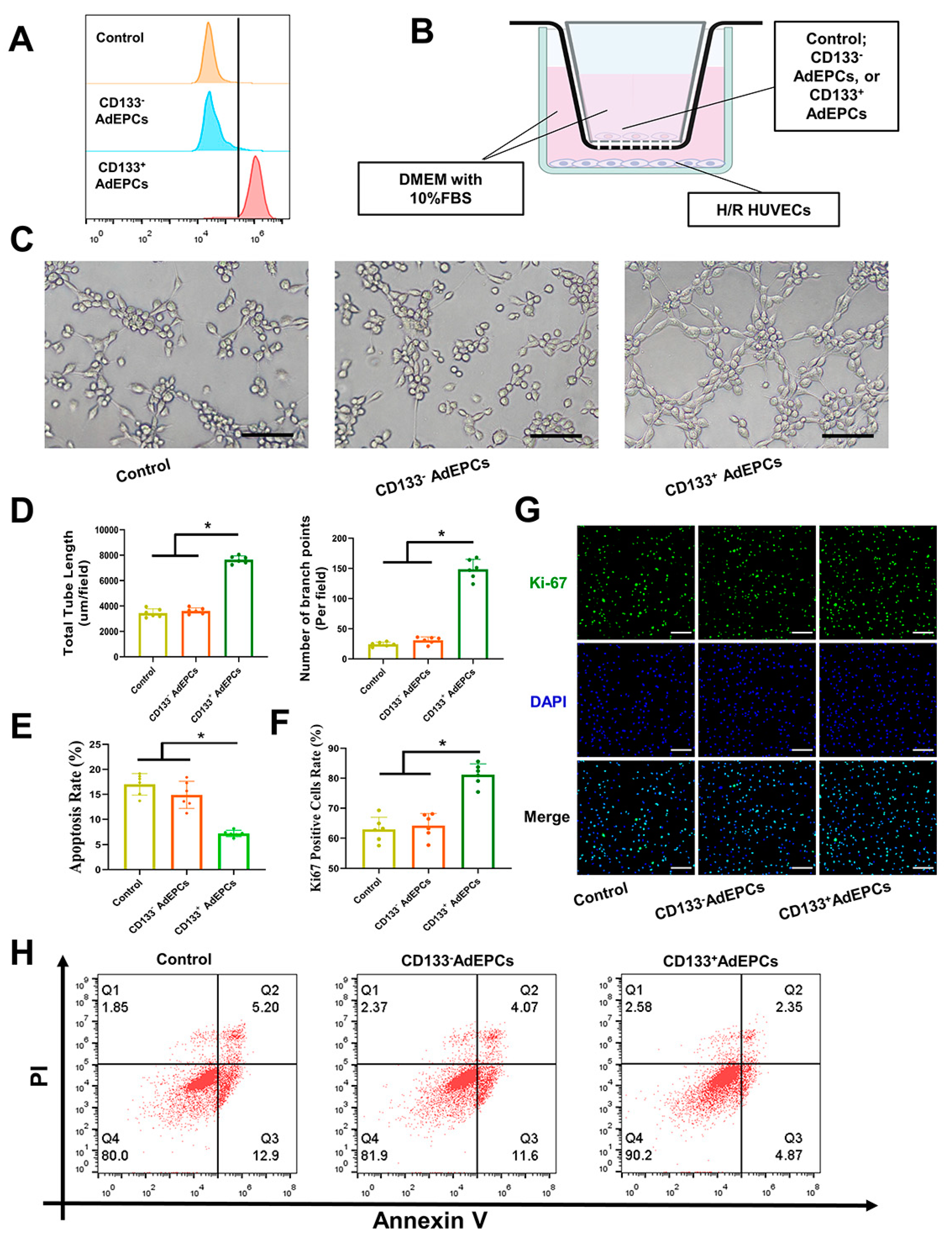Bioengineering 10 00509 g010