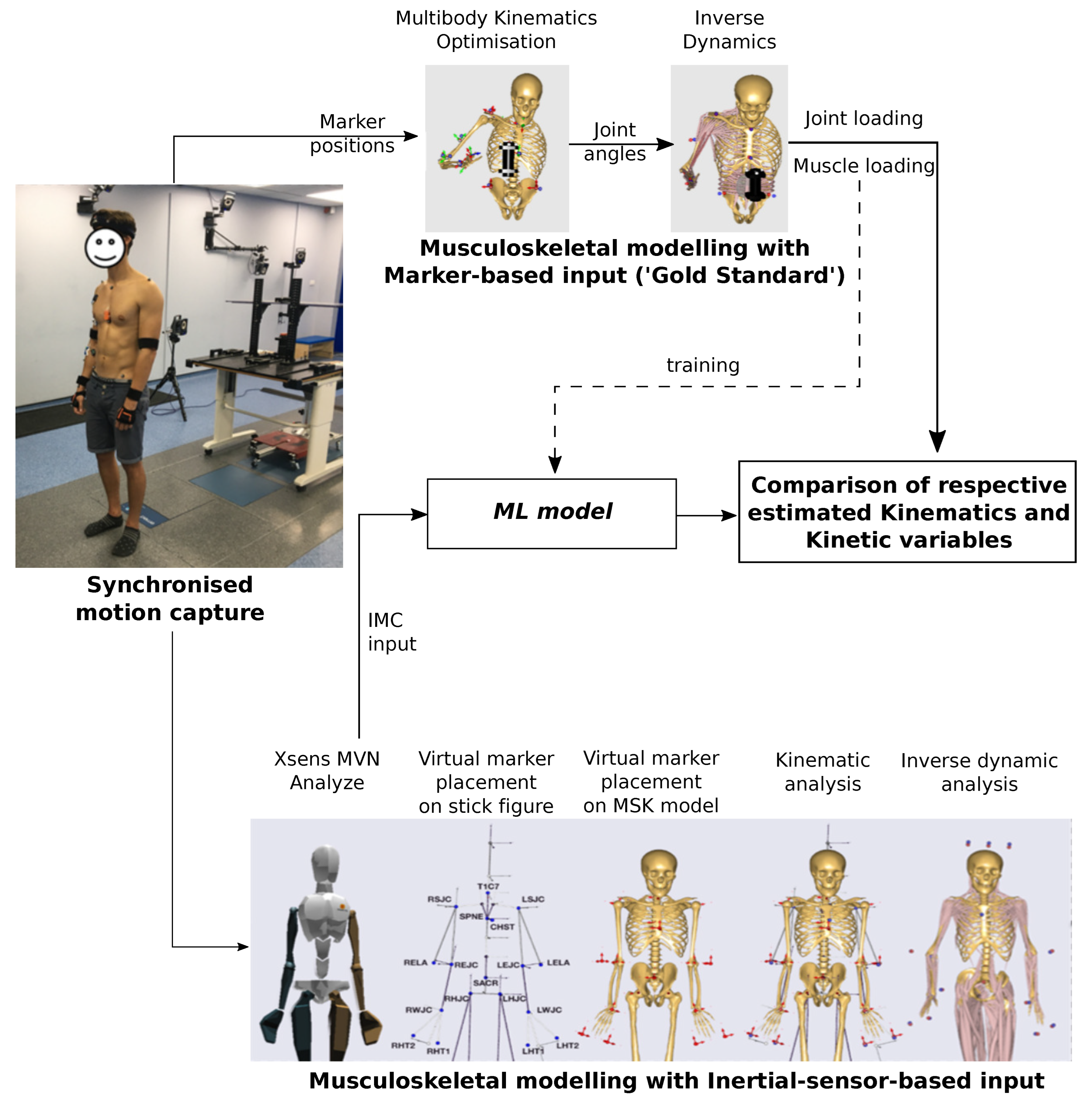 Bioengineering 10 00510 g001