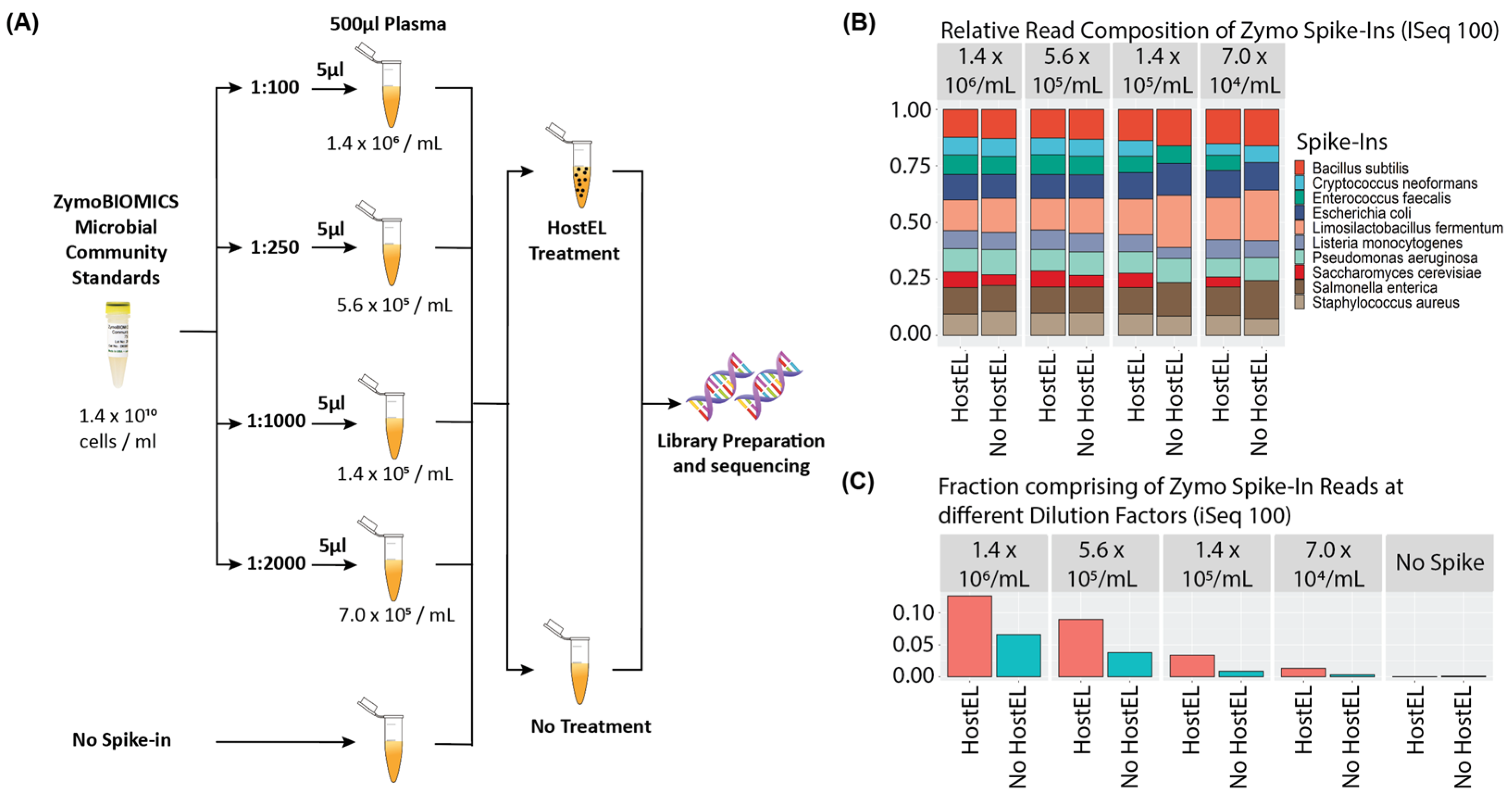 Bioengineering 10 00520 g003