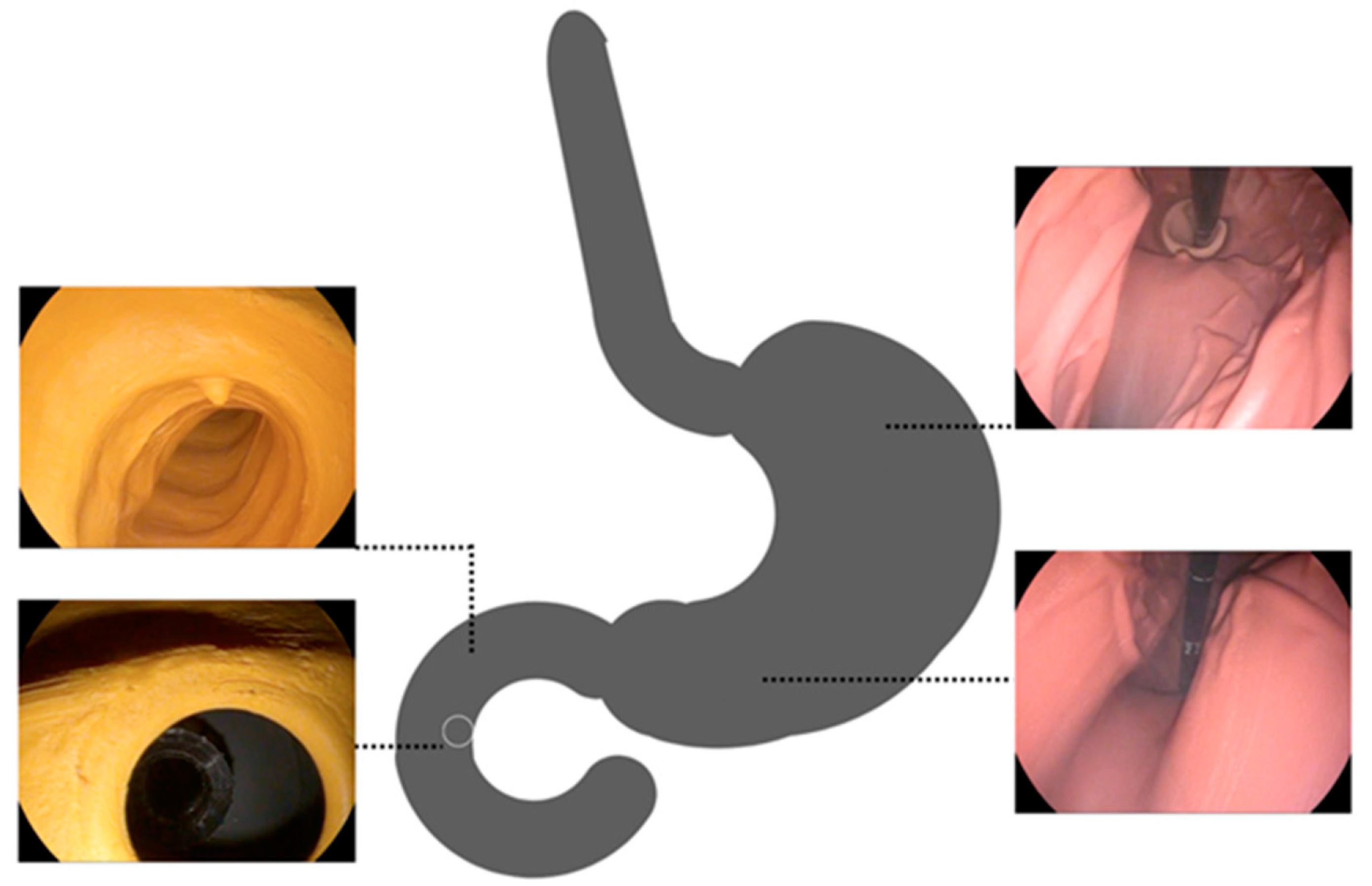 Bioengineering 10 00523 g005
