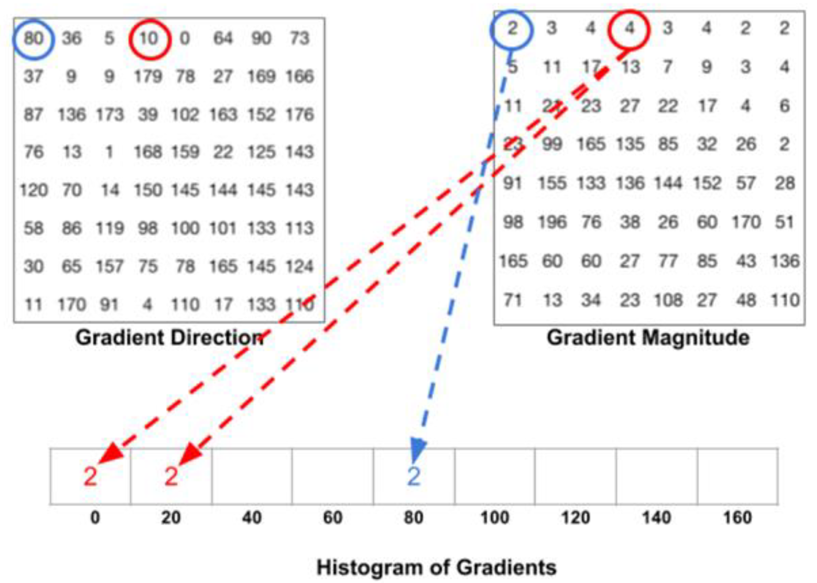 Bioengineering 10 00524 g005 Bioengineering 10 00524 g005