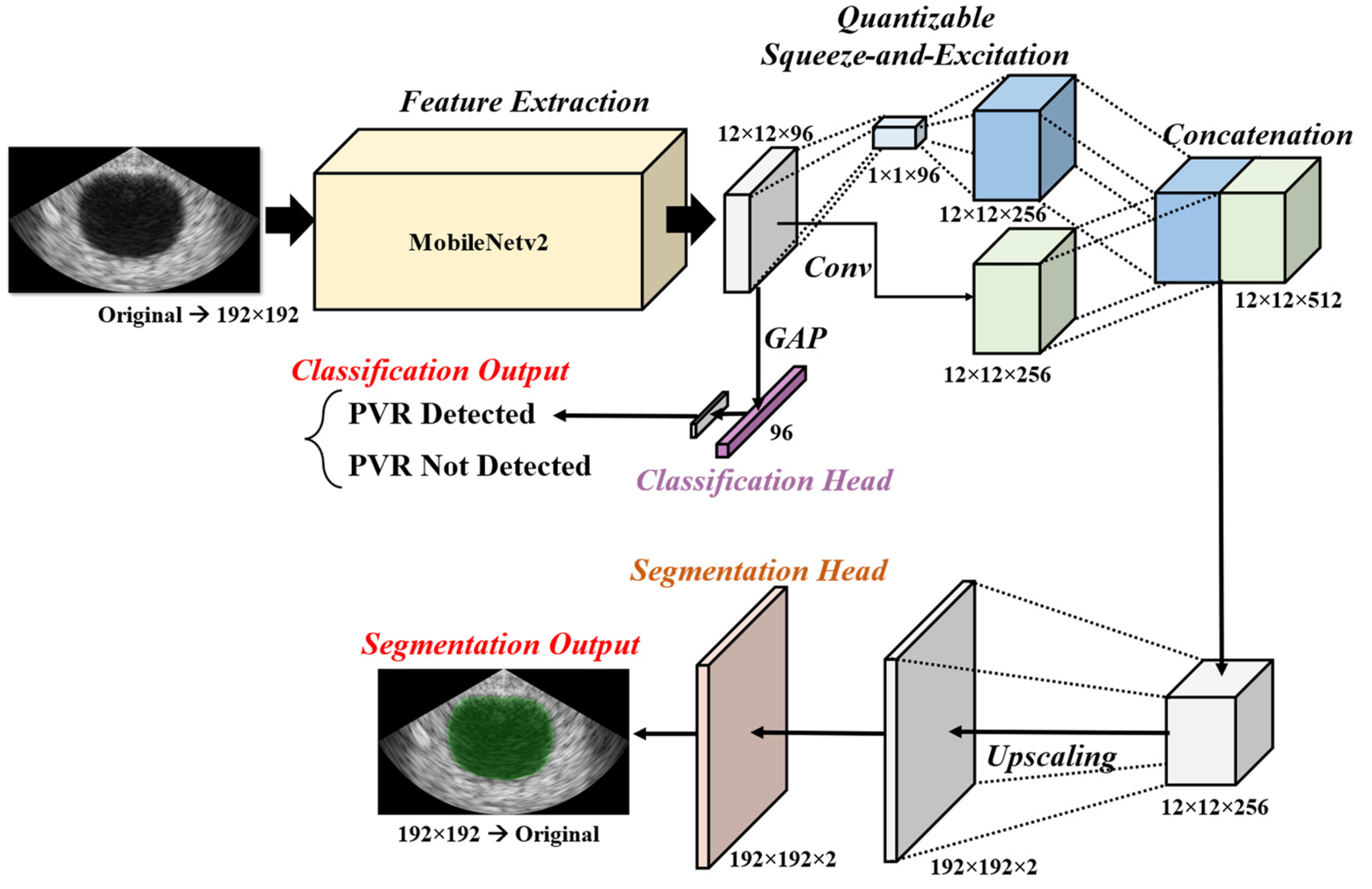 Bioengineering 10 00525 g003 Bioengineering 10 00525 g003