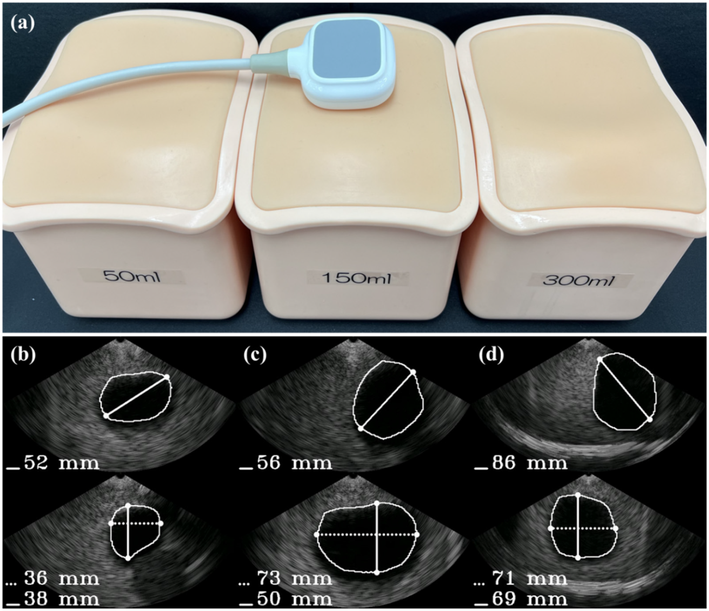 Bioengineering 10 00525 g008 Bioengineering 10 00525 g008