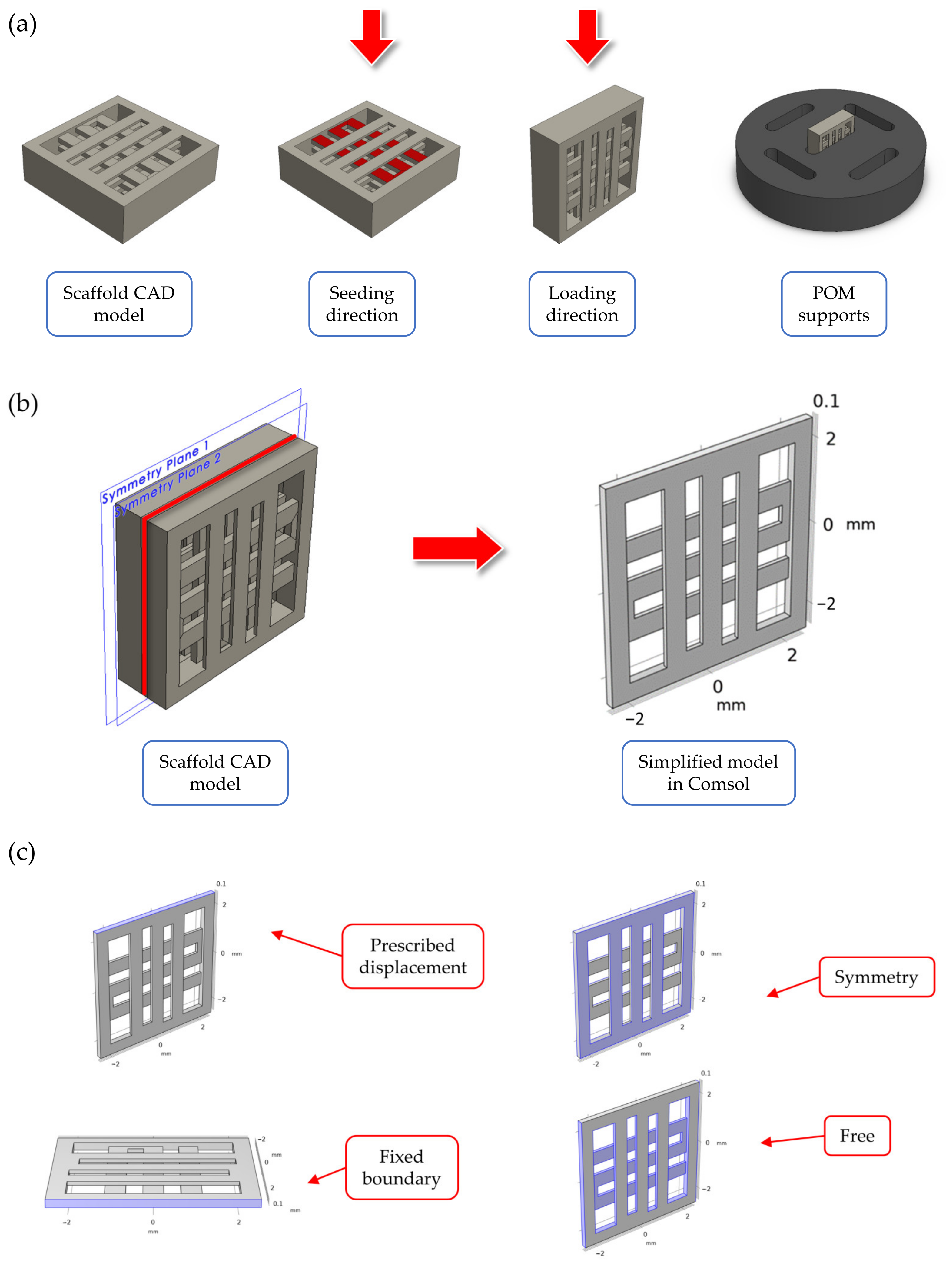 Bioengineering 10 00532 g001