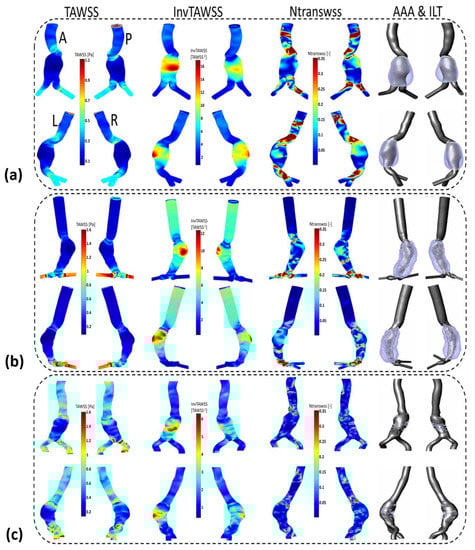 Bioengineering 10 00540 g0a3
