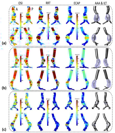 Bioengineering 10 00540 g0a4
