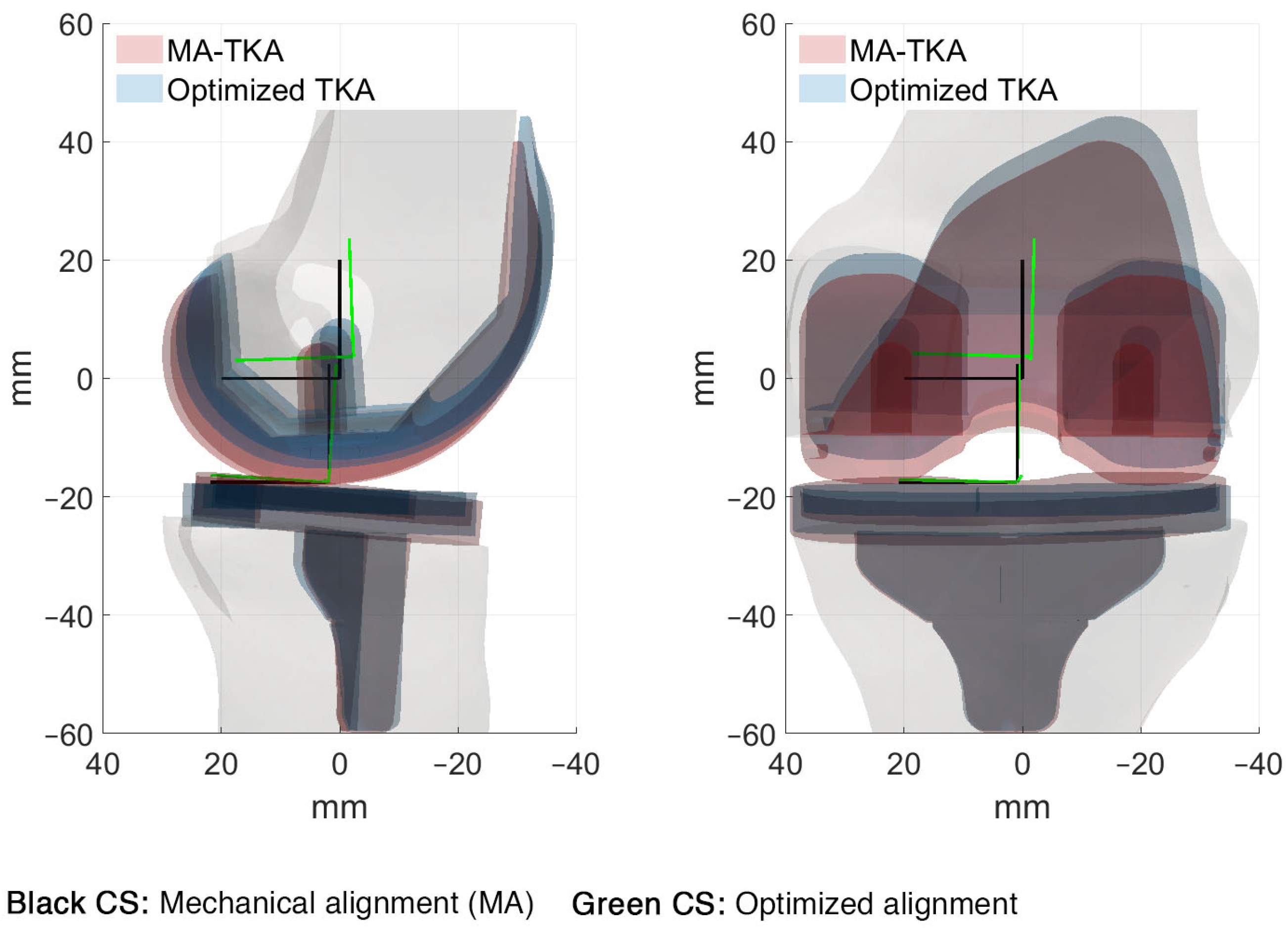 Bioengineering 10 00543 g006